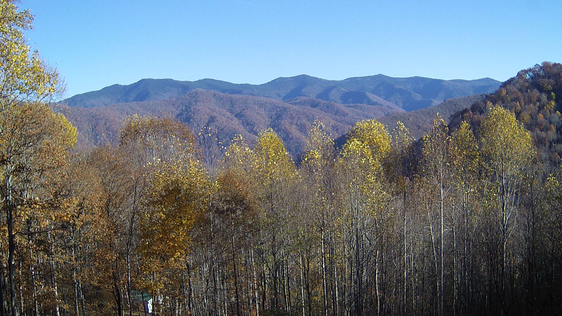 click for next image... slideshow image