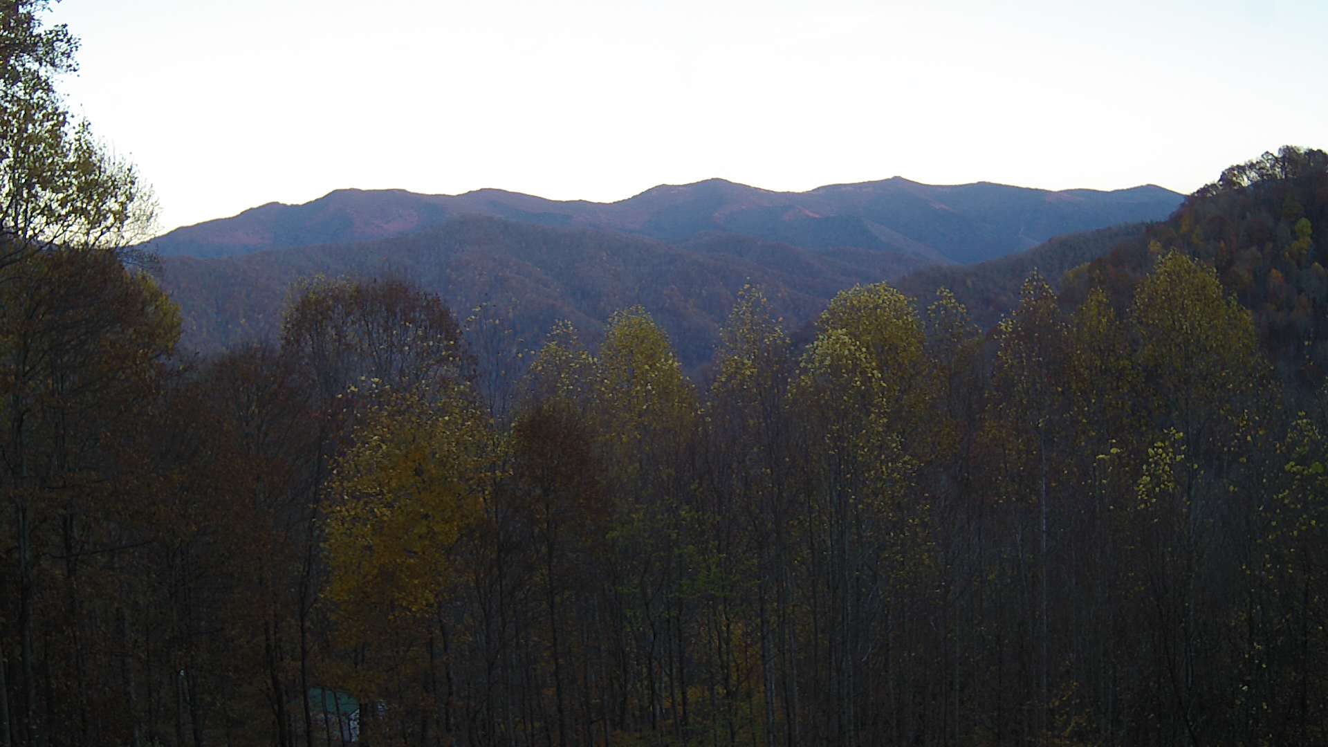 click for next image... slideshow image