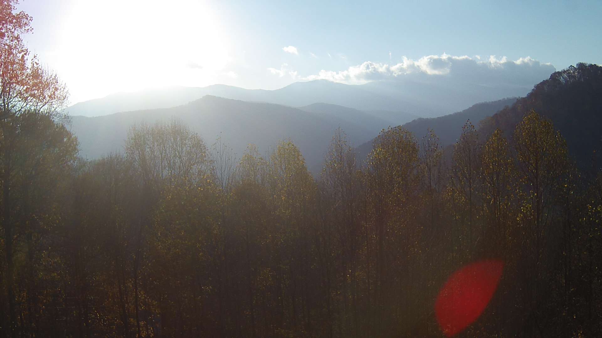 click for next image... slideshow image