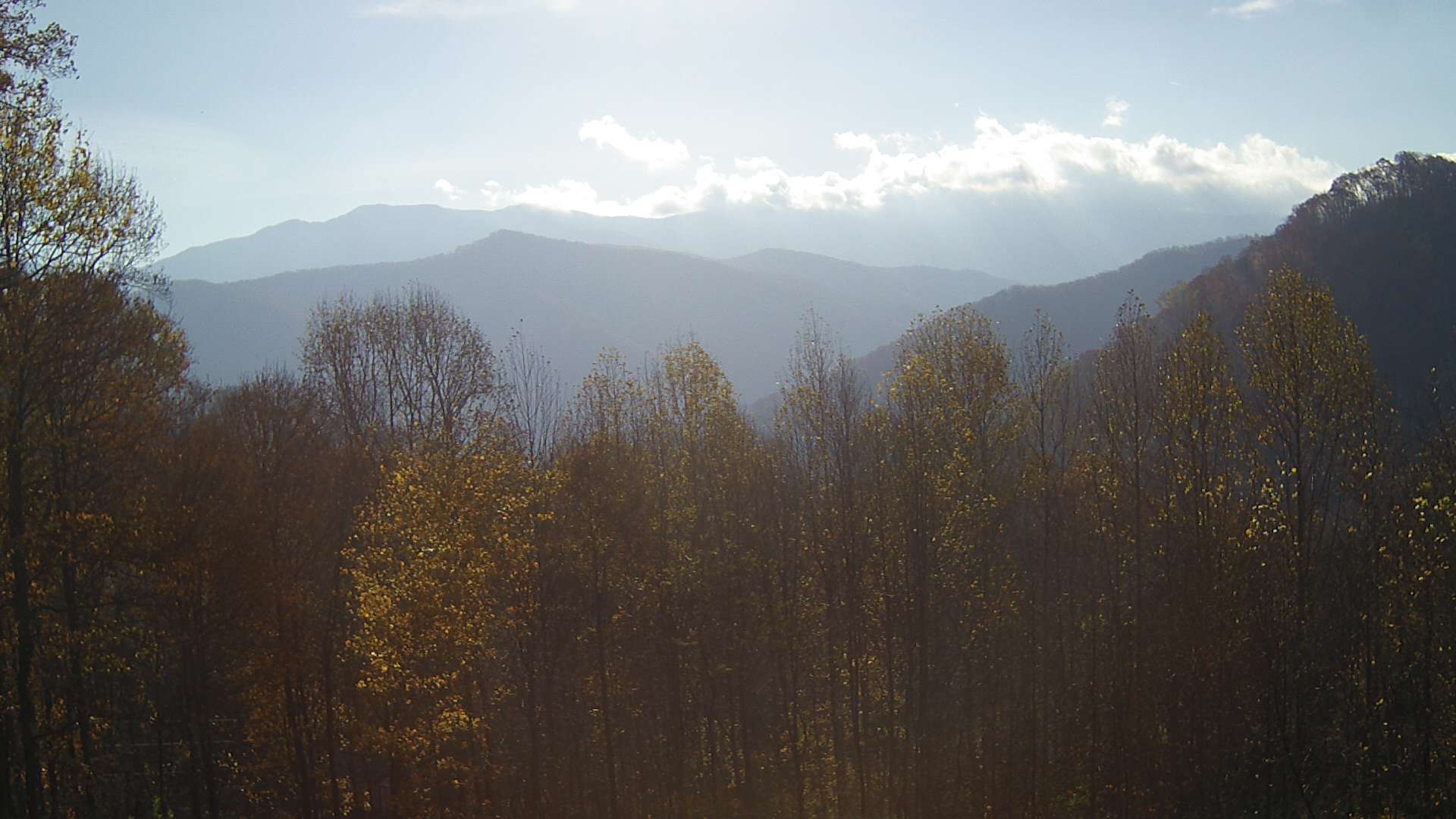 click for next image... slideshow image