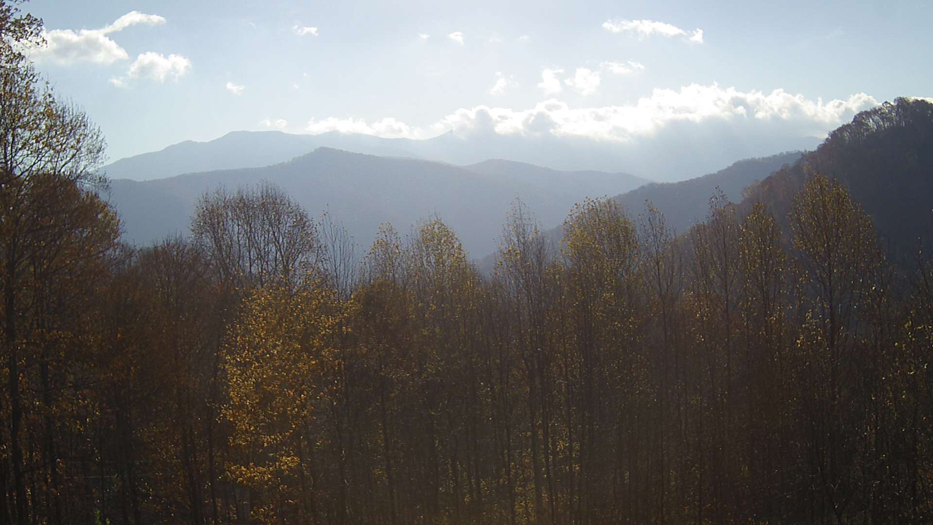 click for next image... slideshow image