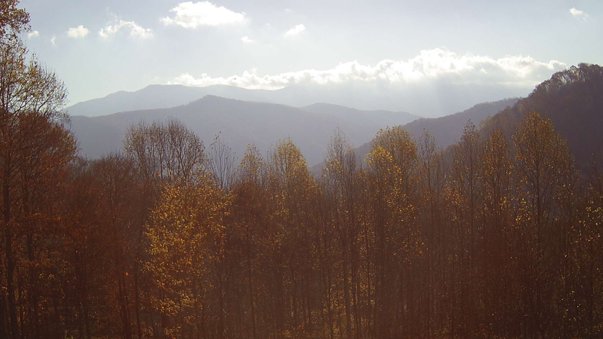 click for next image... slideshow image