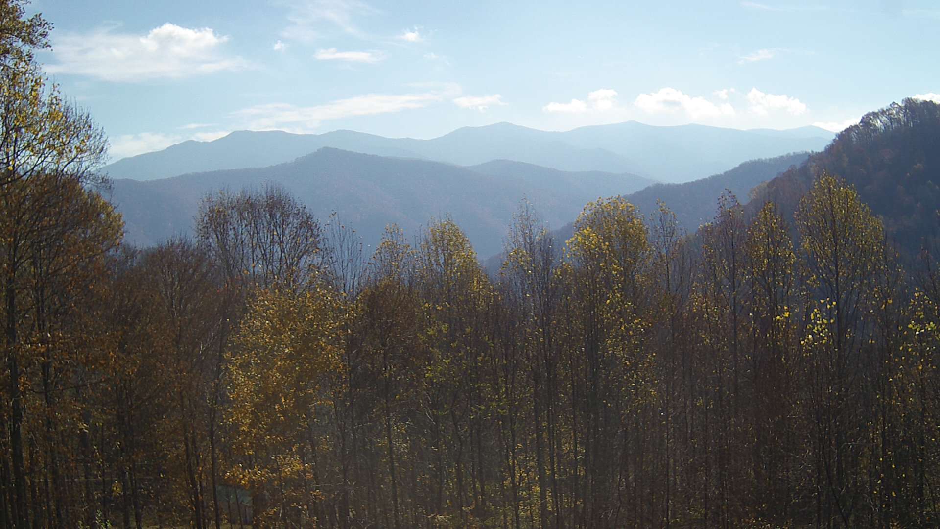 click for next image... slideshow image