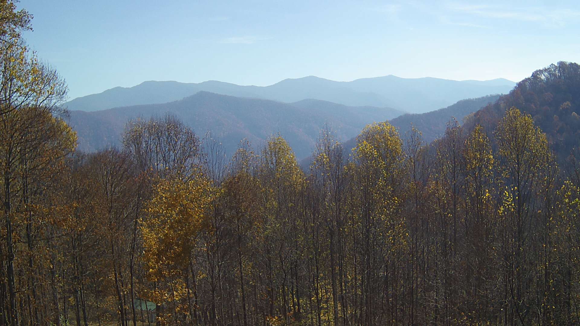 click for next image... slideshow image