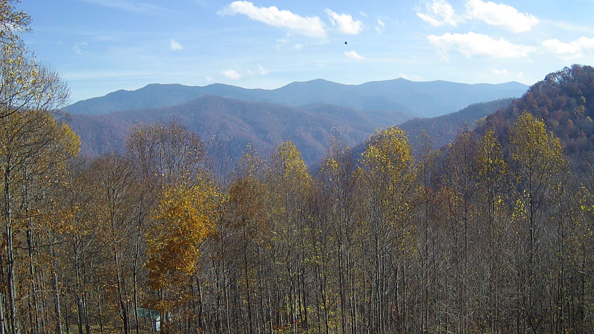 click for next image... slideshow image