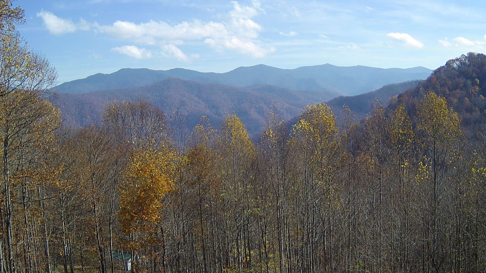 click for next image... slideshow image