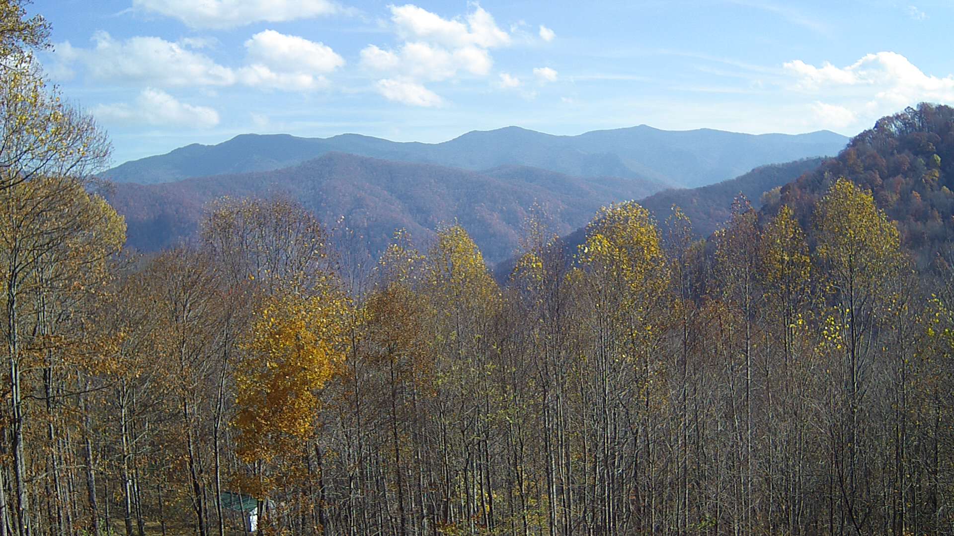 click for next image... slideshow image