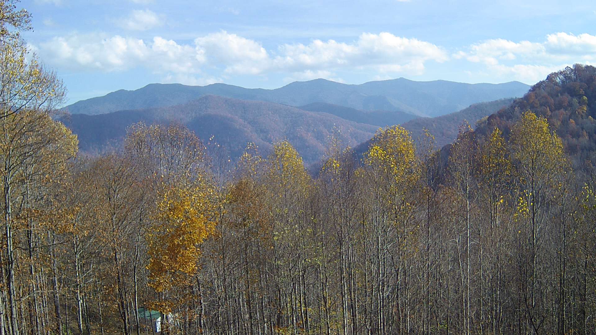 click for next image... slideshow image