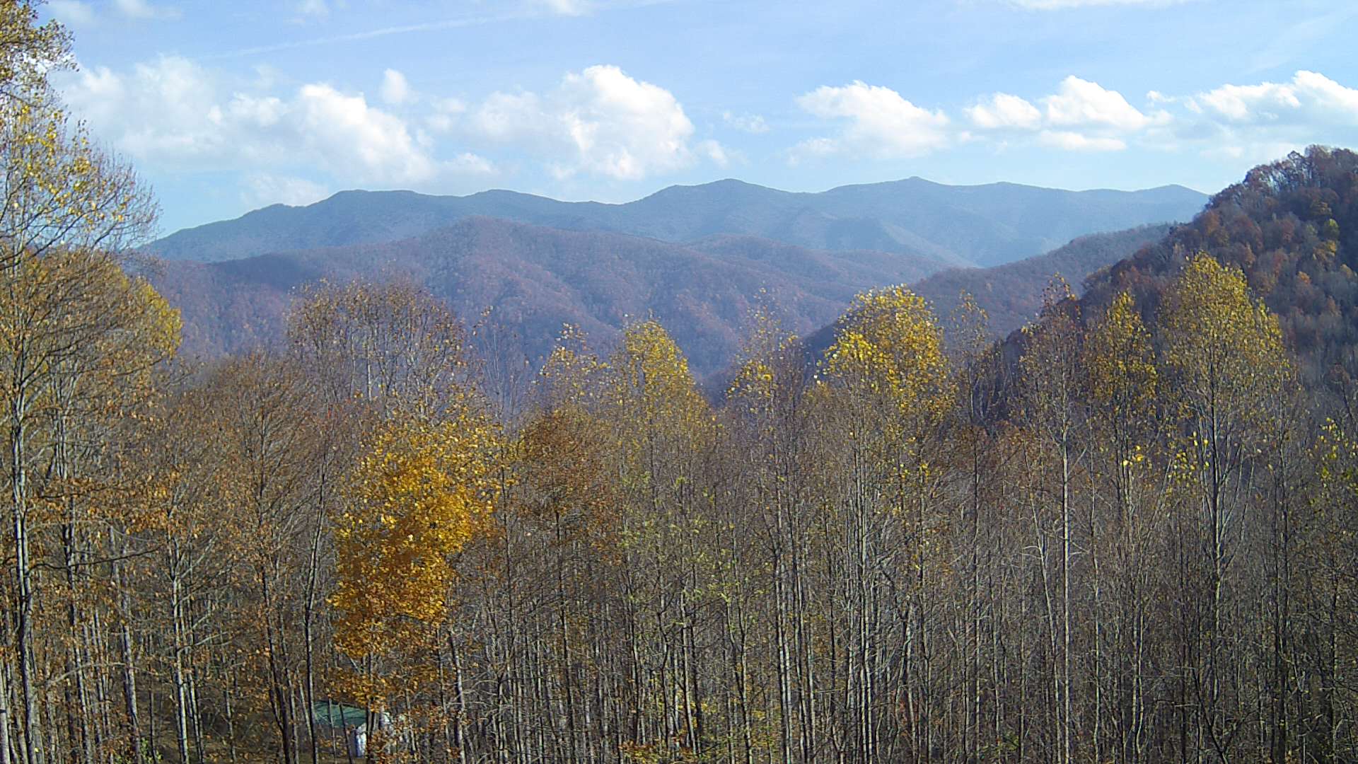 click for next image... slideshow image