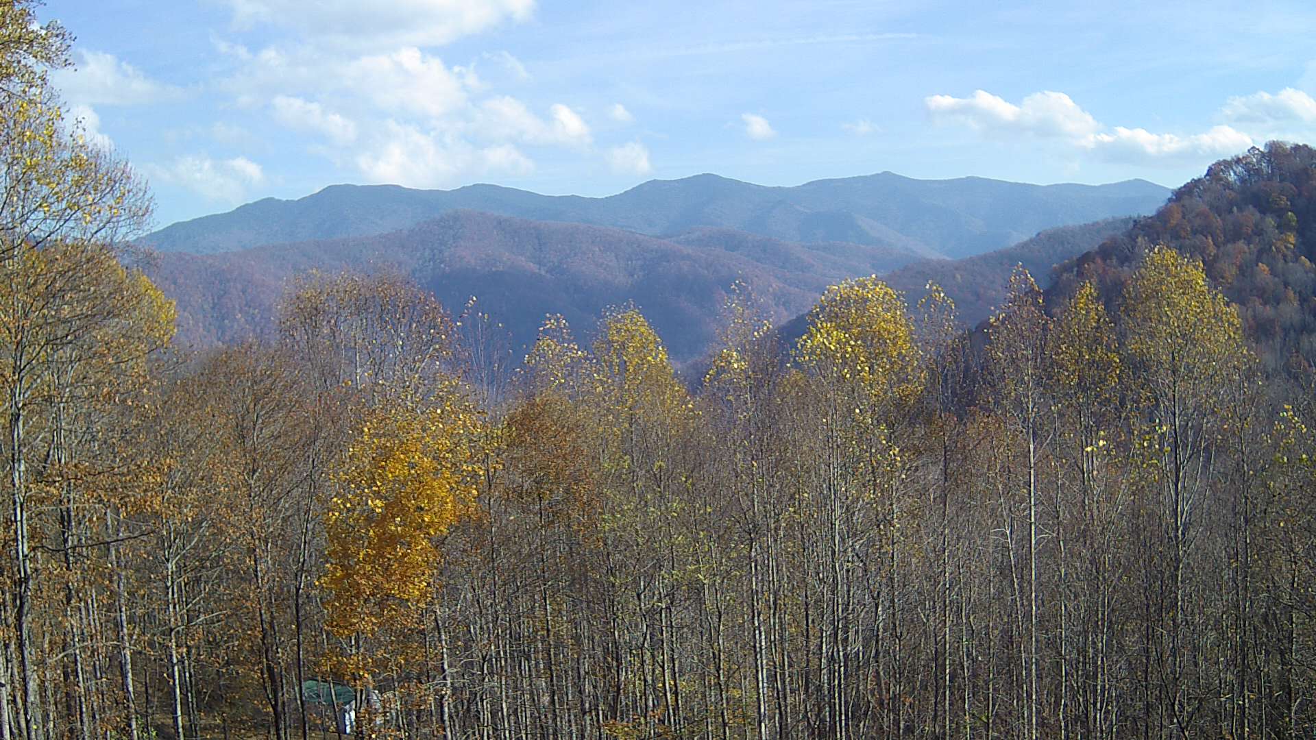 click for next image... slideshow image