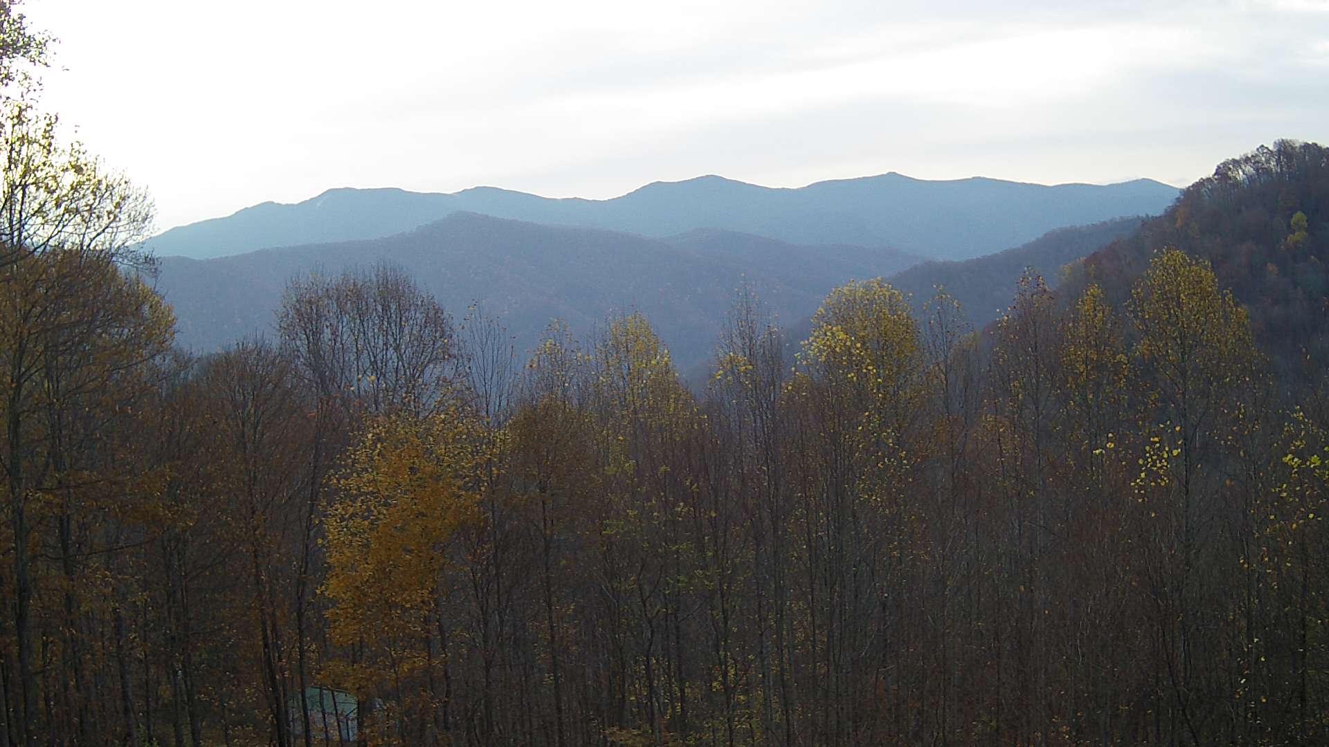 click for next image... slideshow image