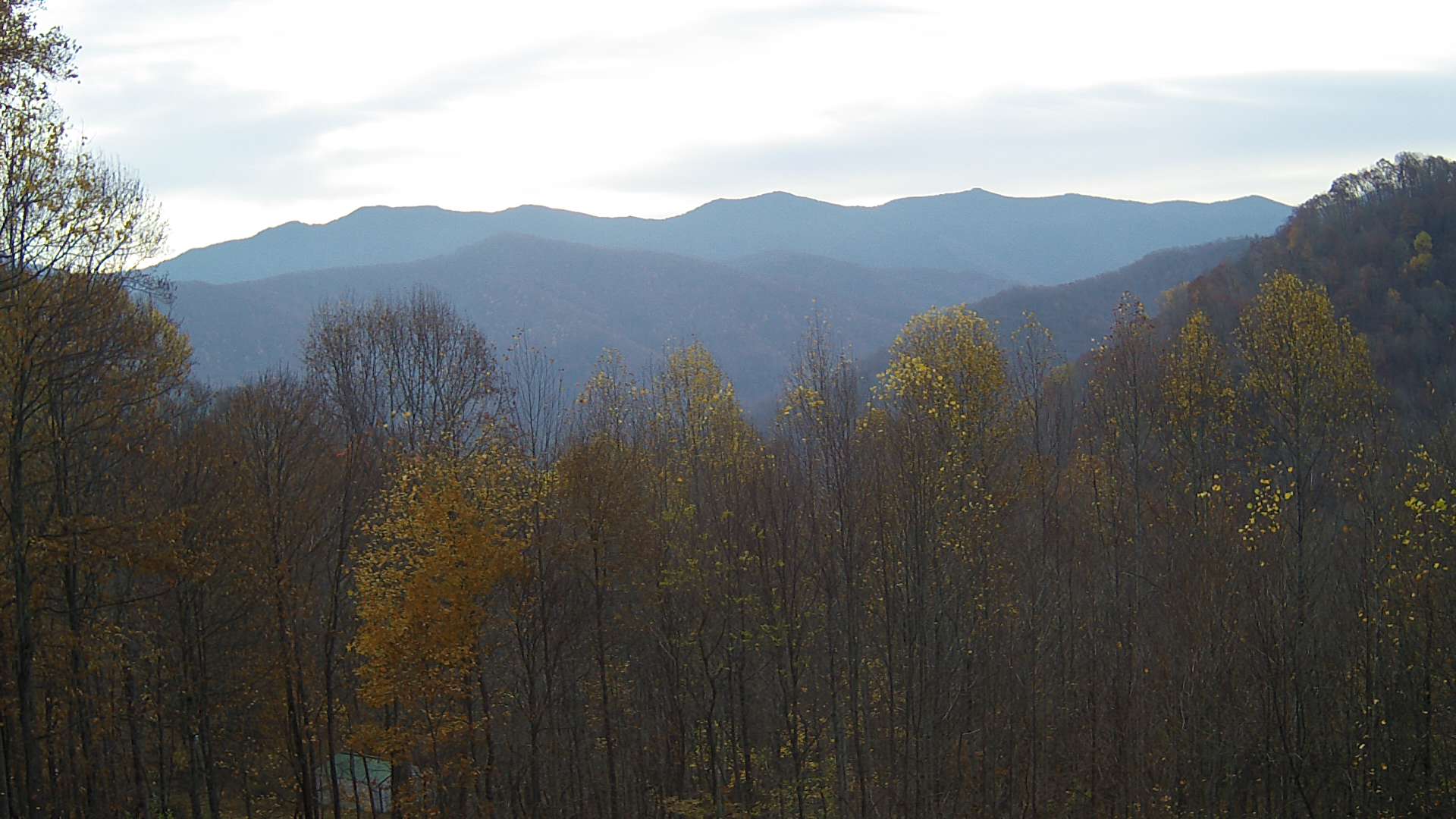 click for next image... slideshow image