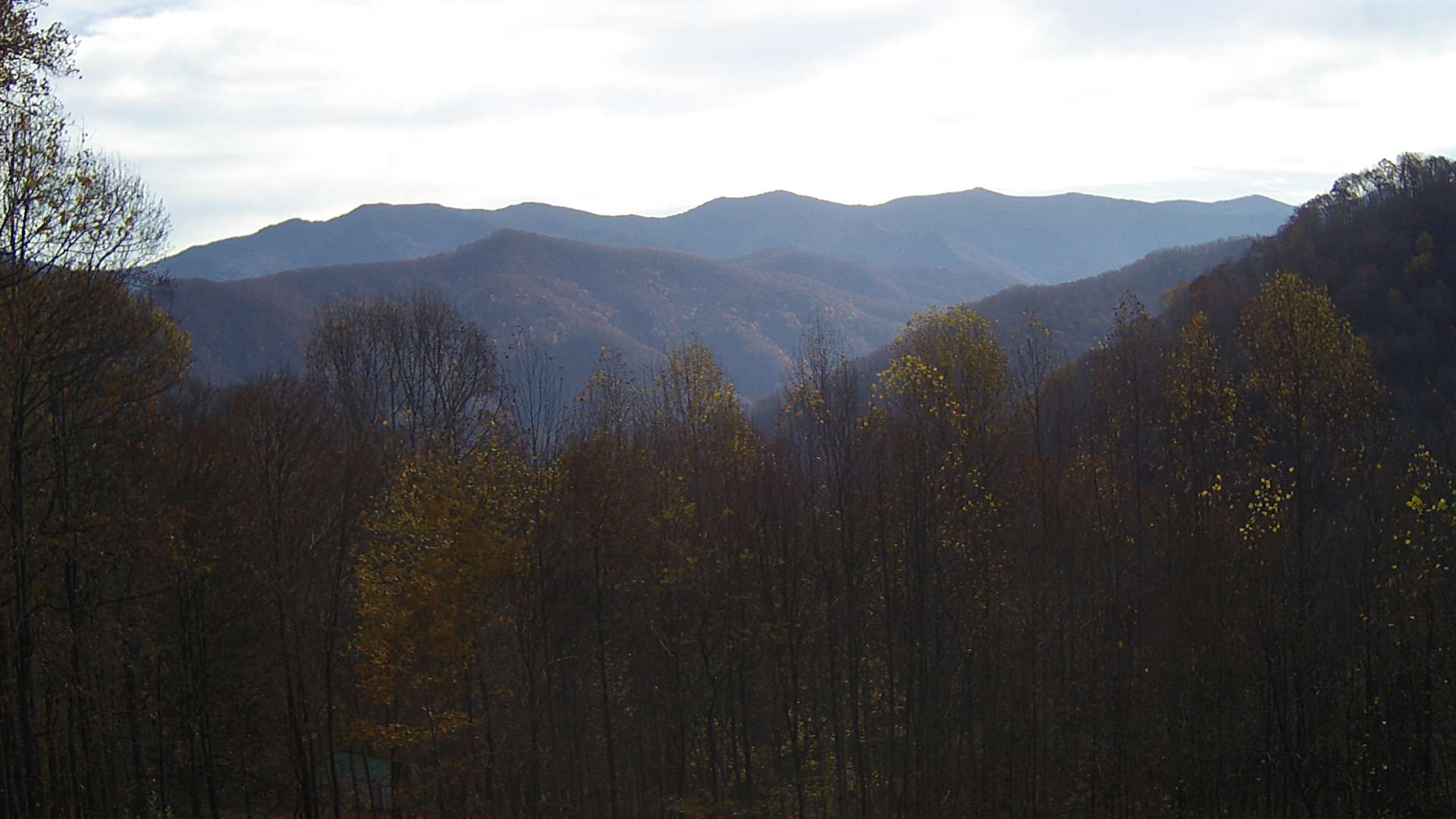 click for next image... slideshow image