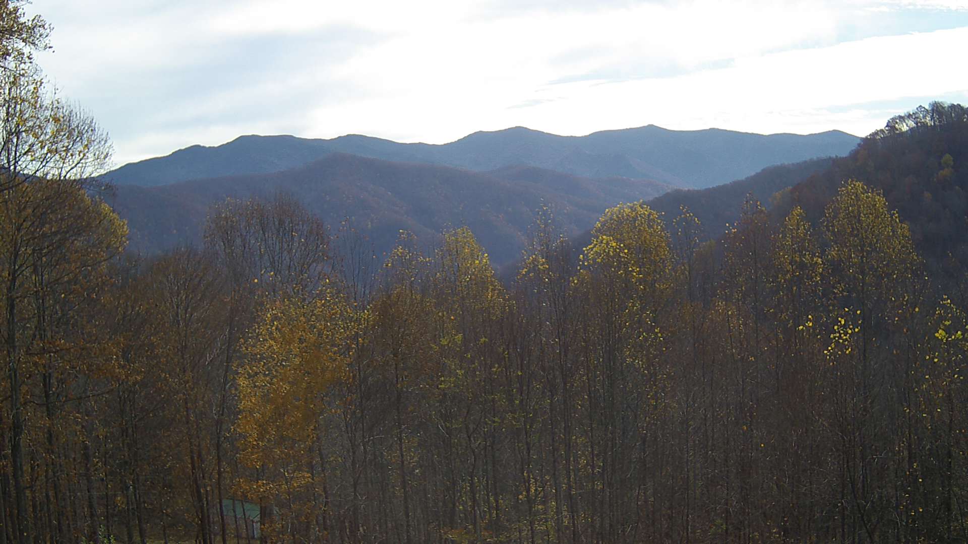 click for next image... slideshow image