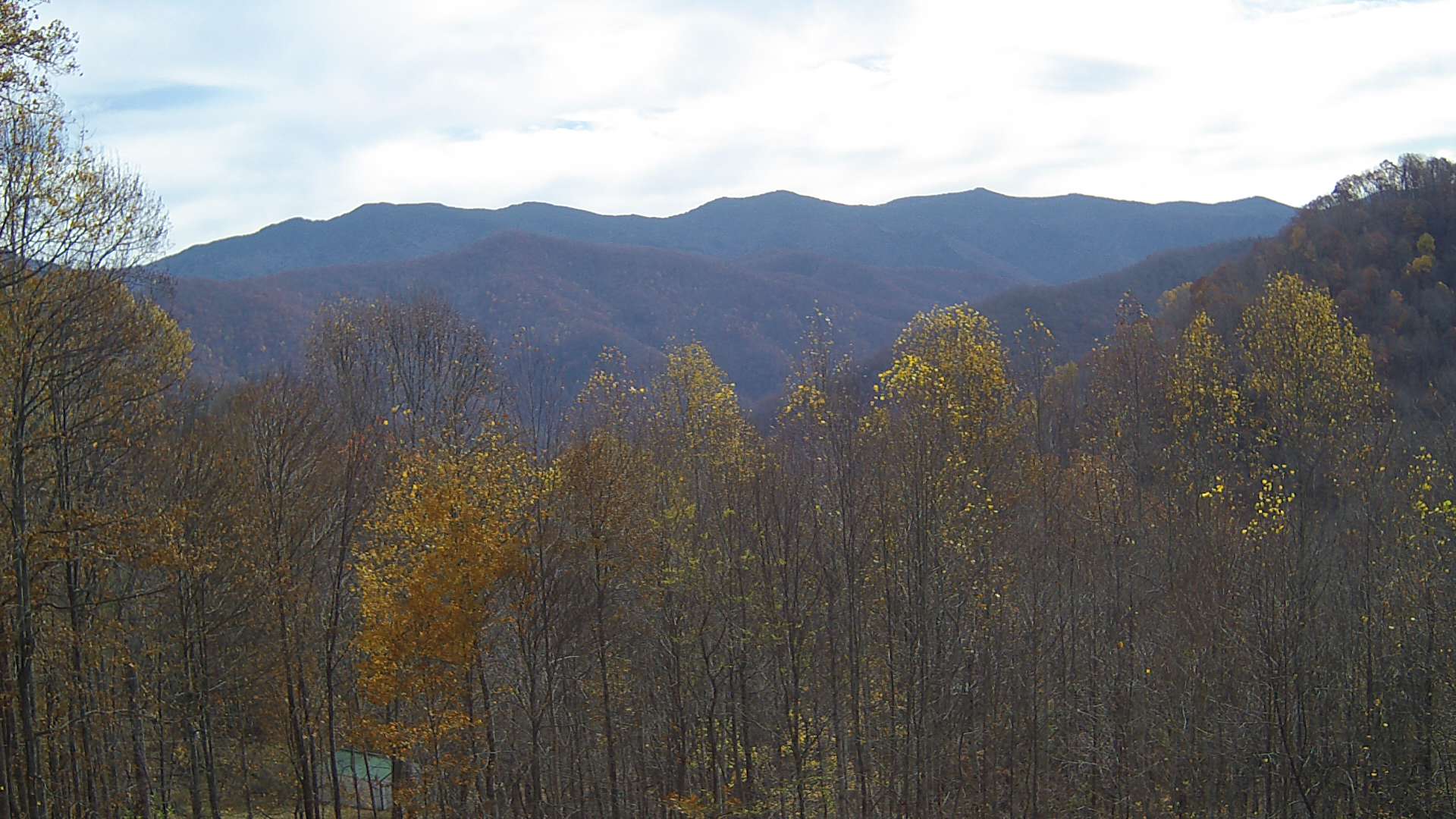 click for next image... slideshow image