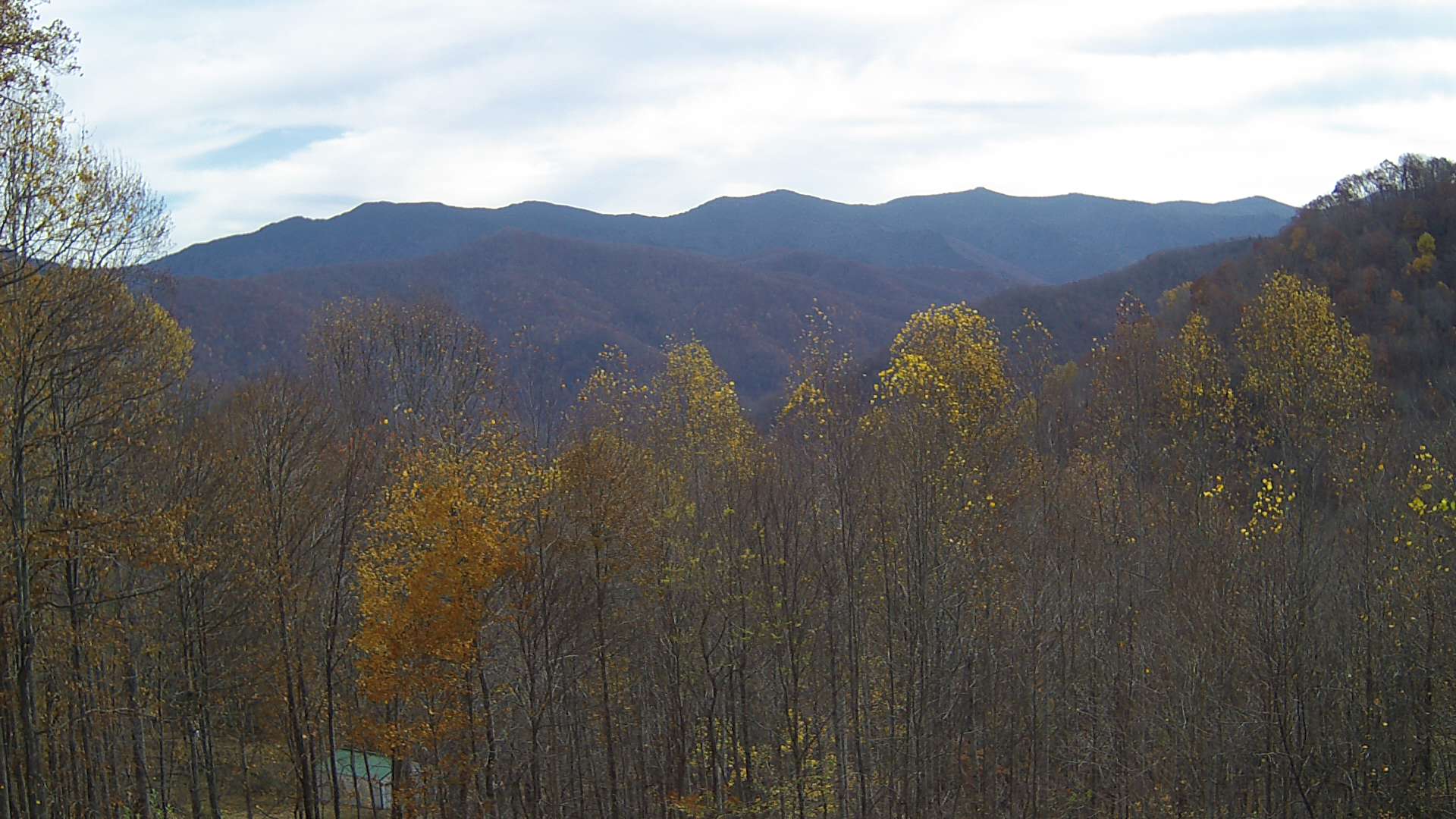 click for next image... slideshow image