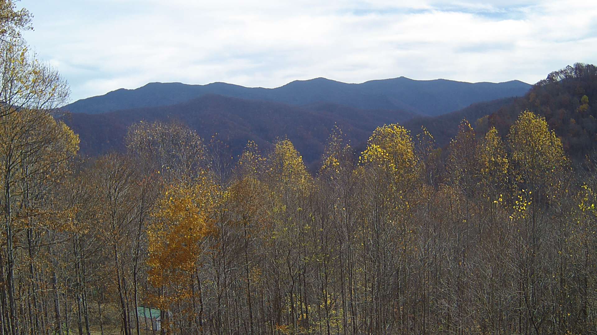 click for next image... slideshow image