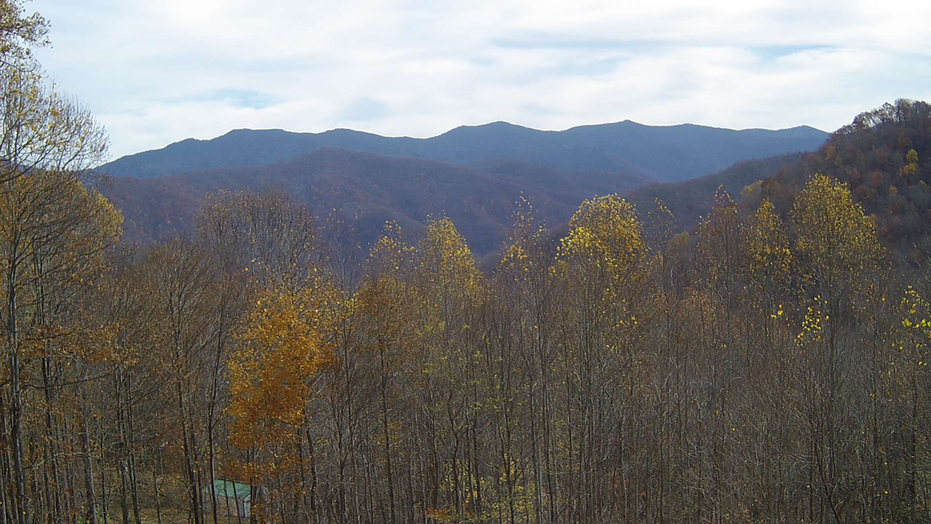 click for next image... slideshow image