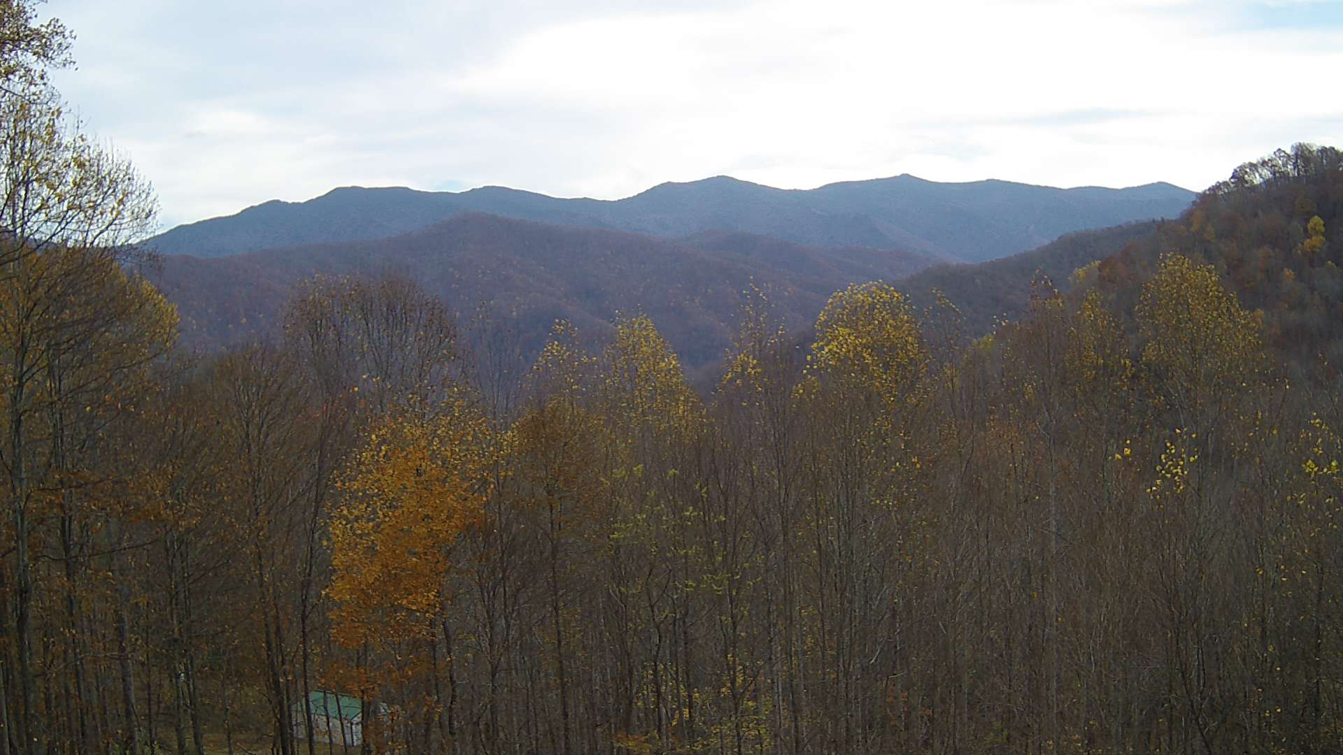 click for next image... slideshow image