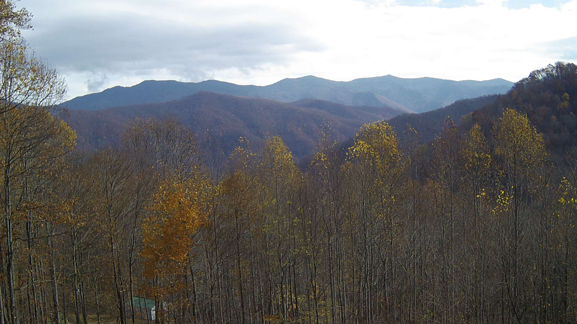 click for next image... slideshow image