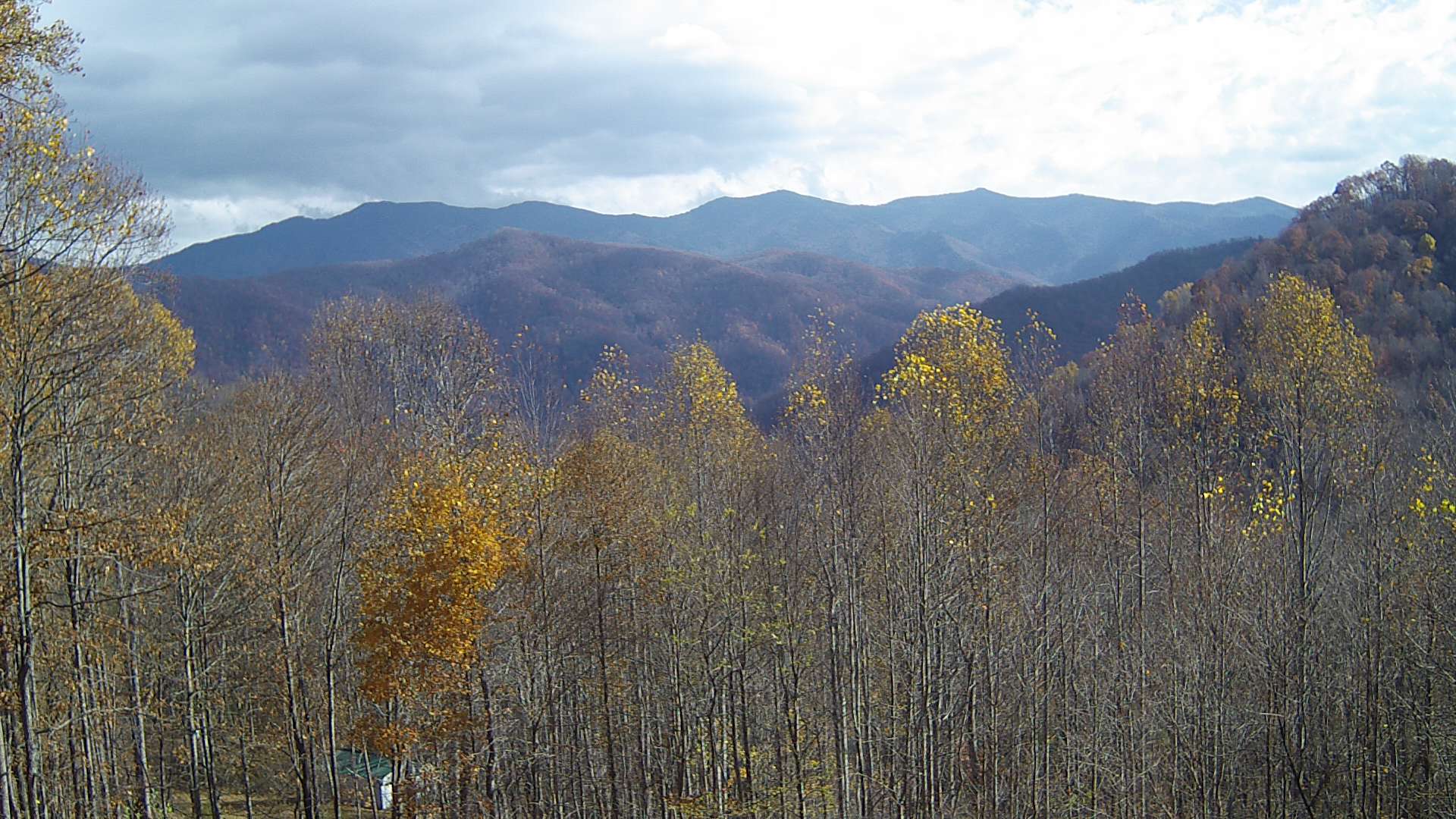 click for next image... slideshow image