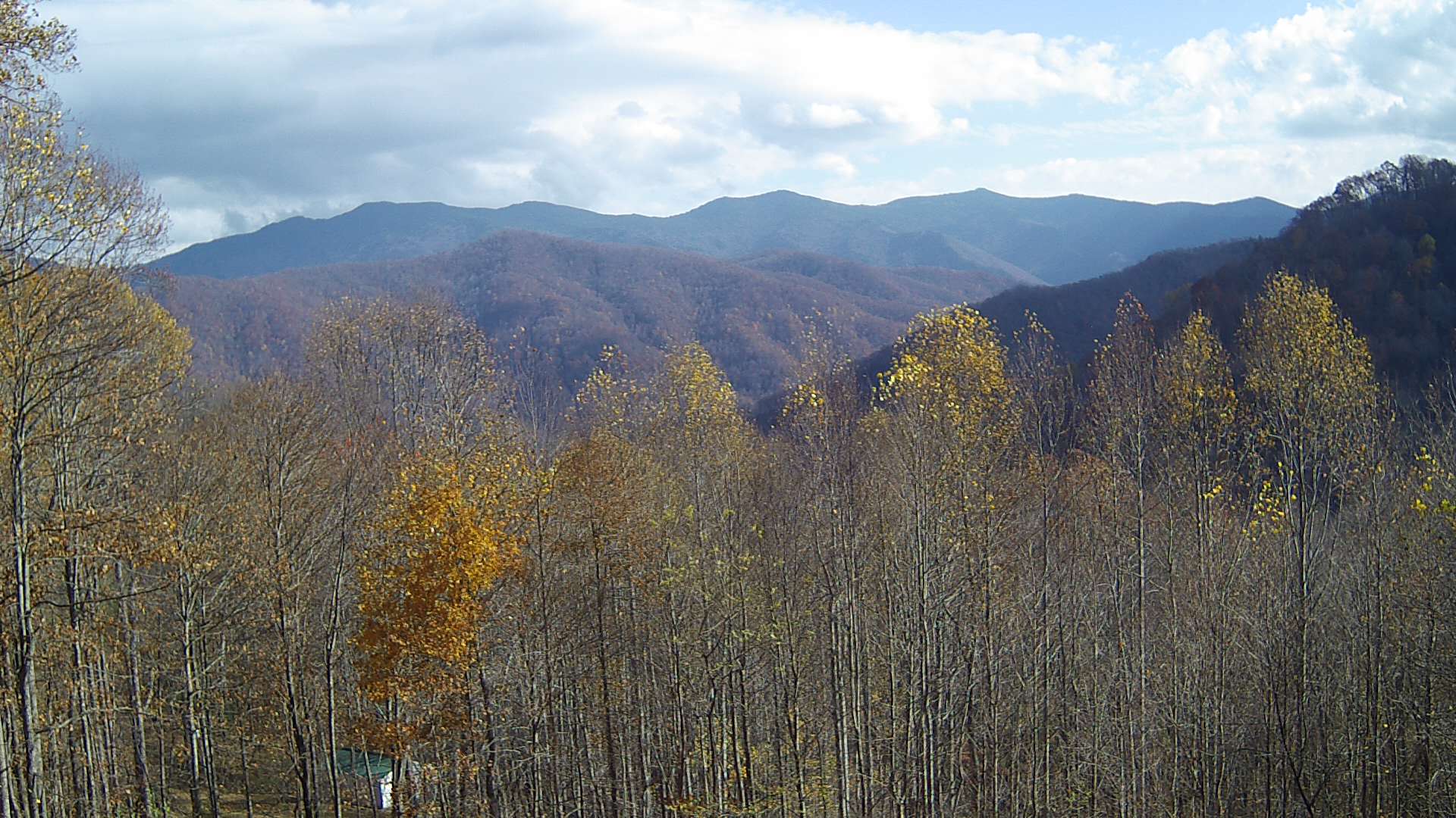 click for next image... slideshow image