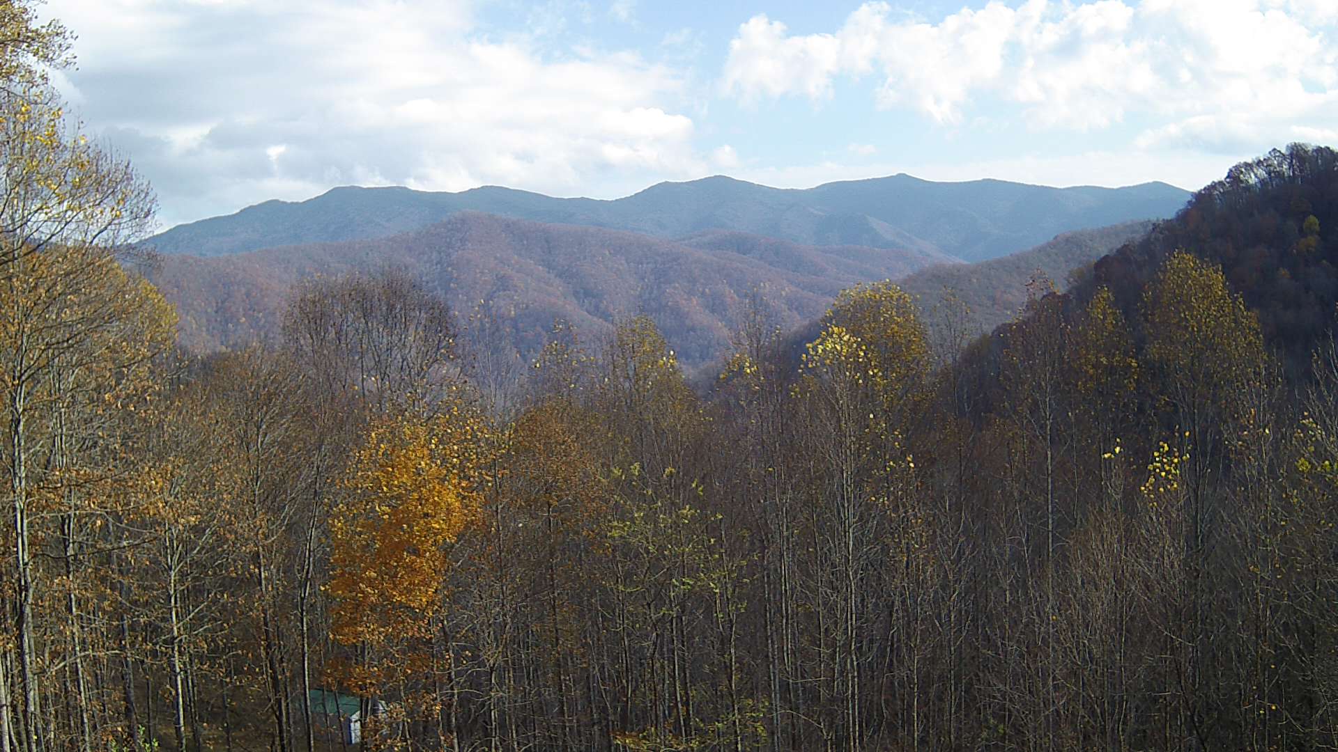 click for next image... slideshow image