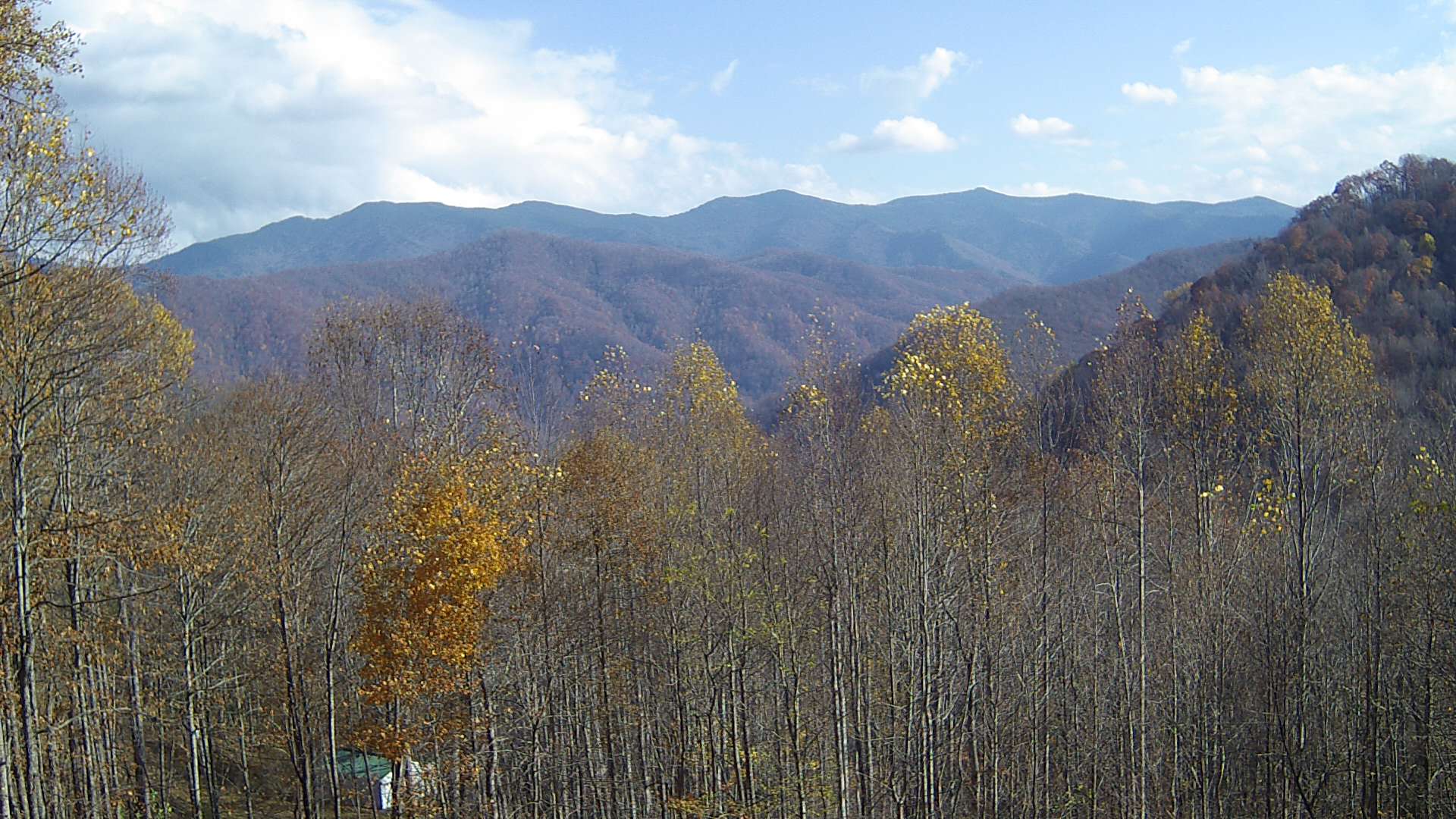 click for next image... slideshow image