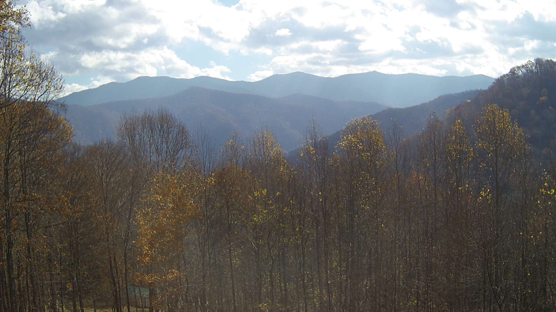 click for next image... slideshow image