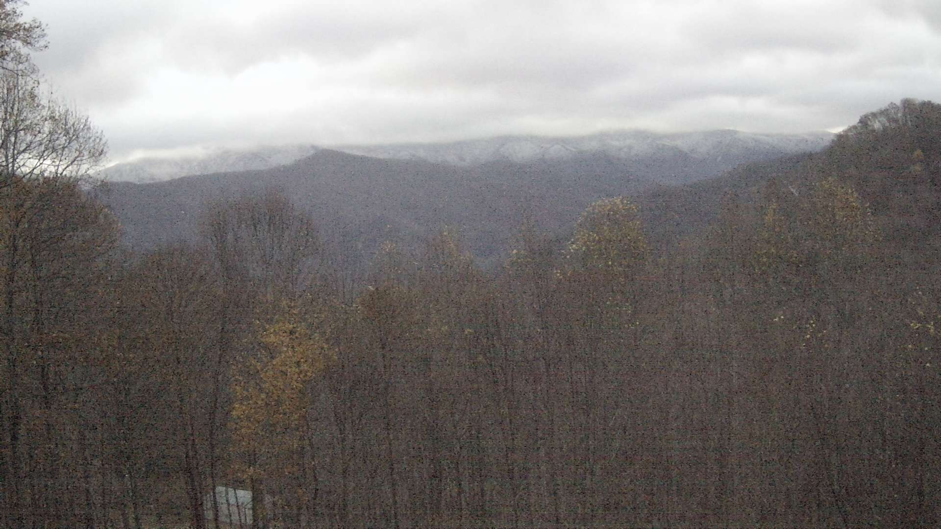 click for next image... slideshow image