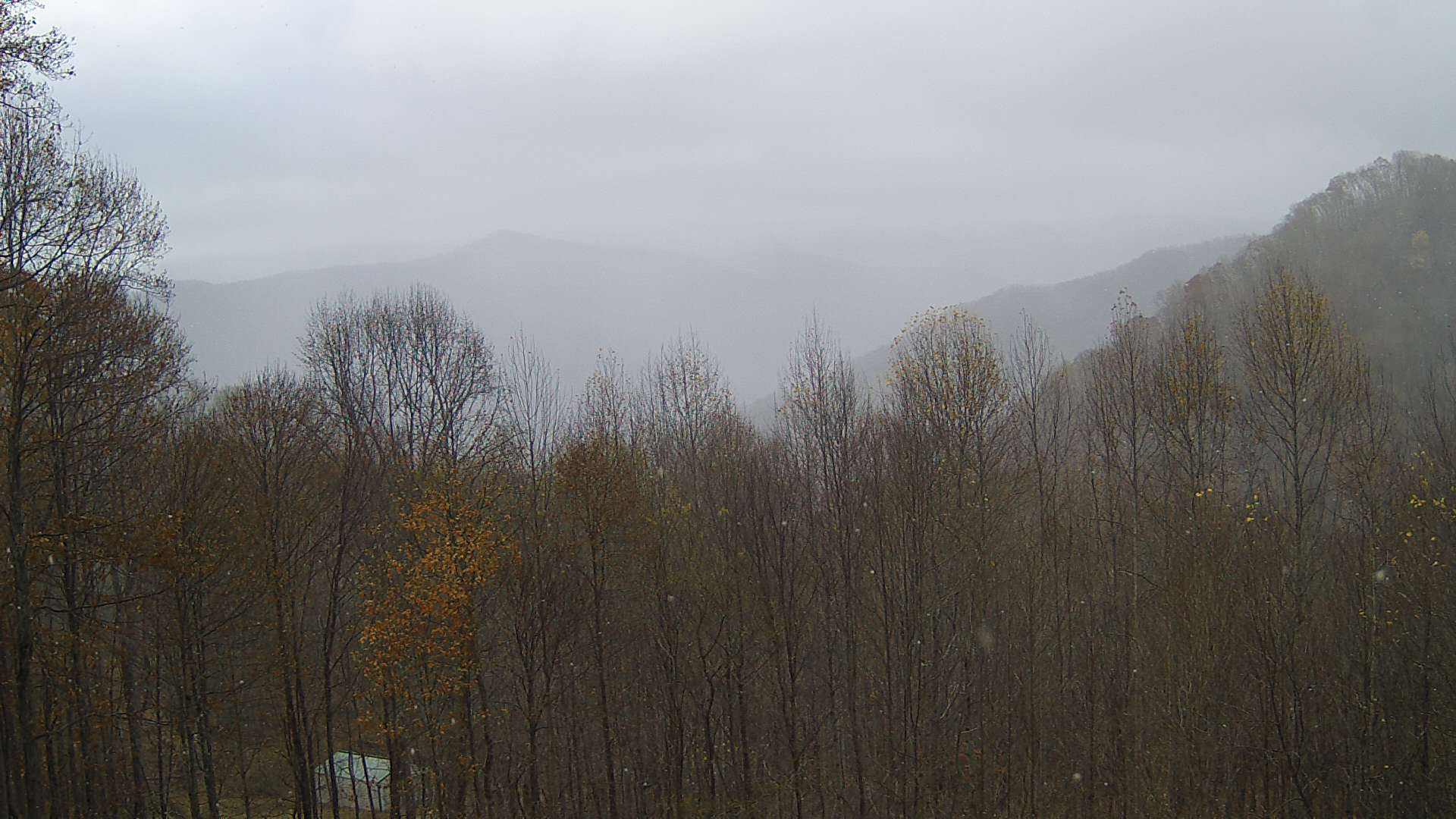 click for next image... slideshow image