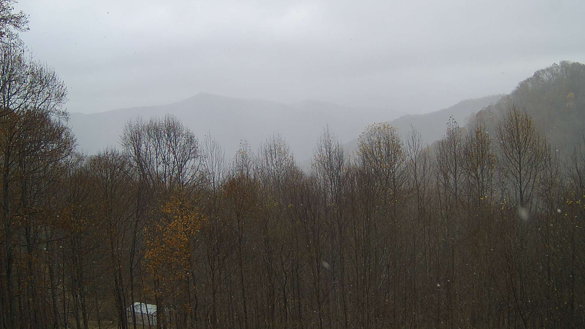 click for next image... slideshow image