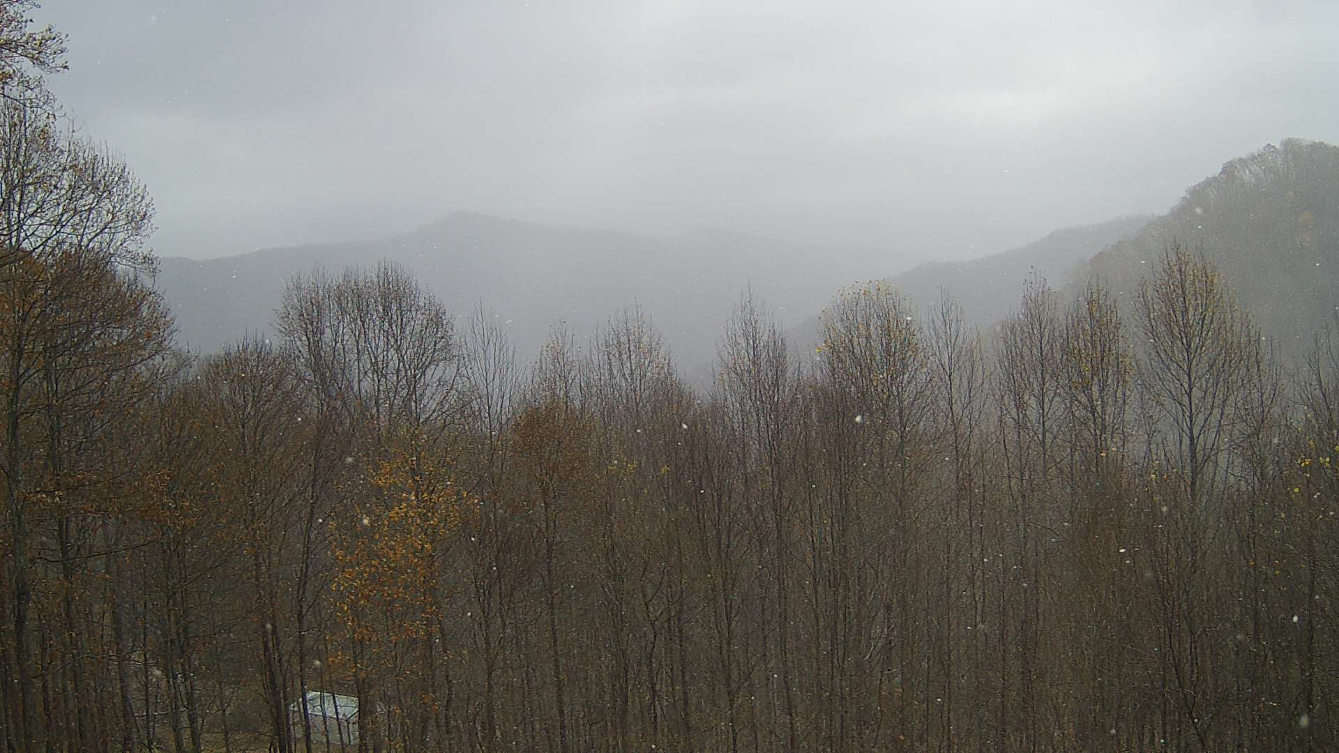 click for next image... slideshow image