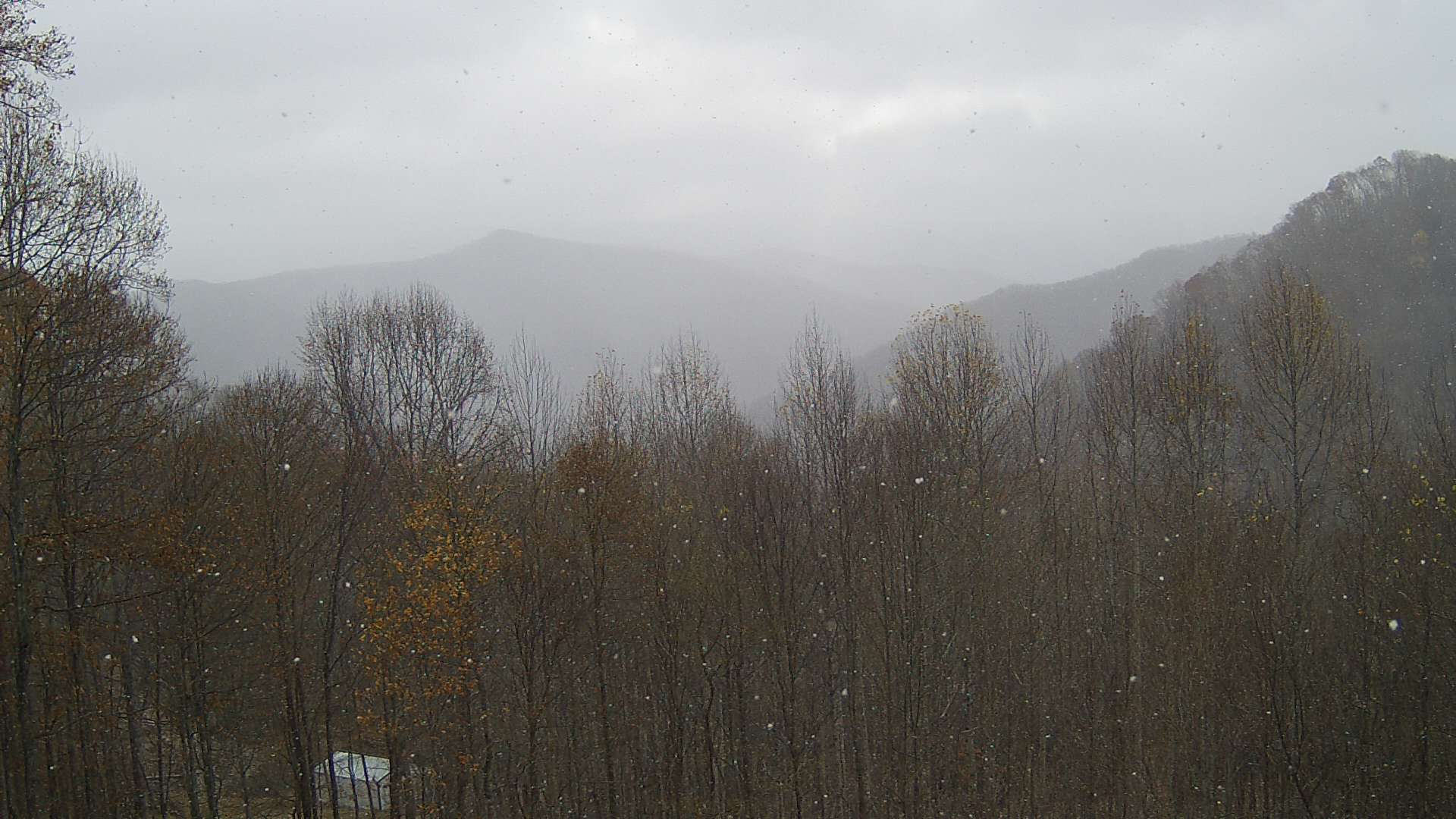 click for next image... slideshow image