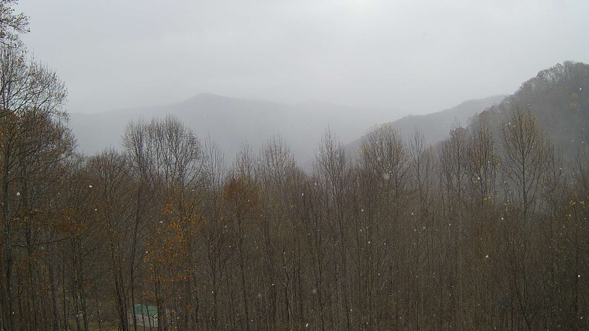 click for next image... slideshow image