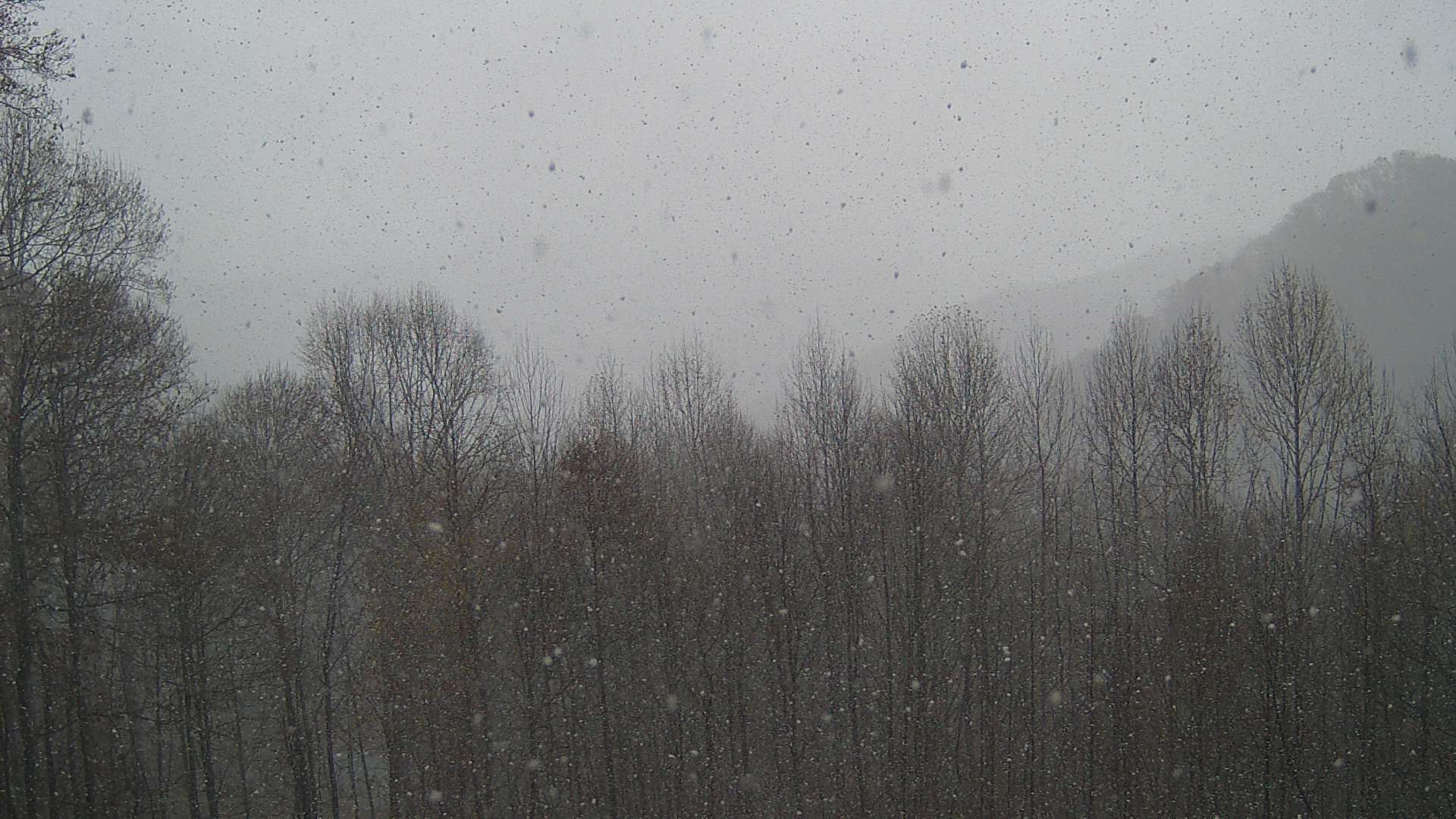 click for next image... slideshow image