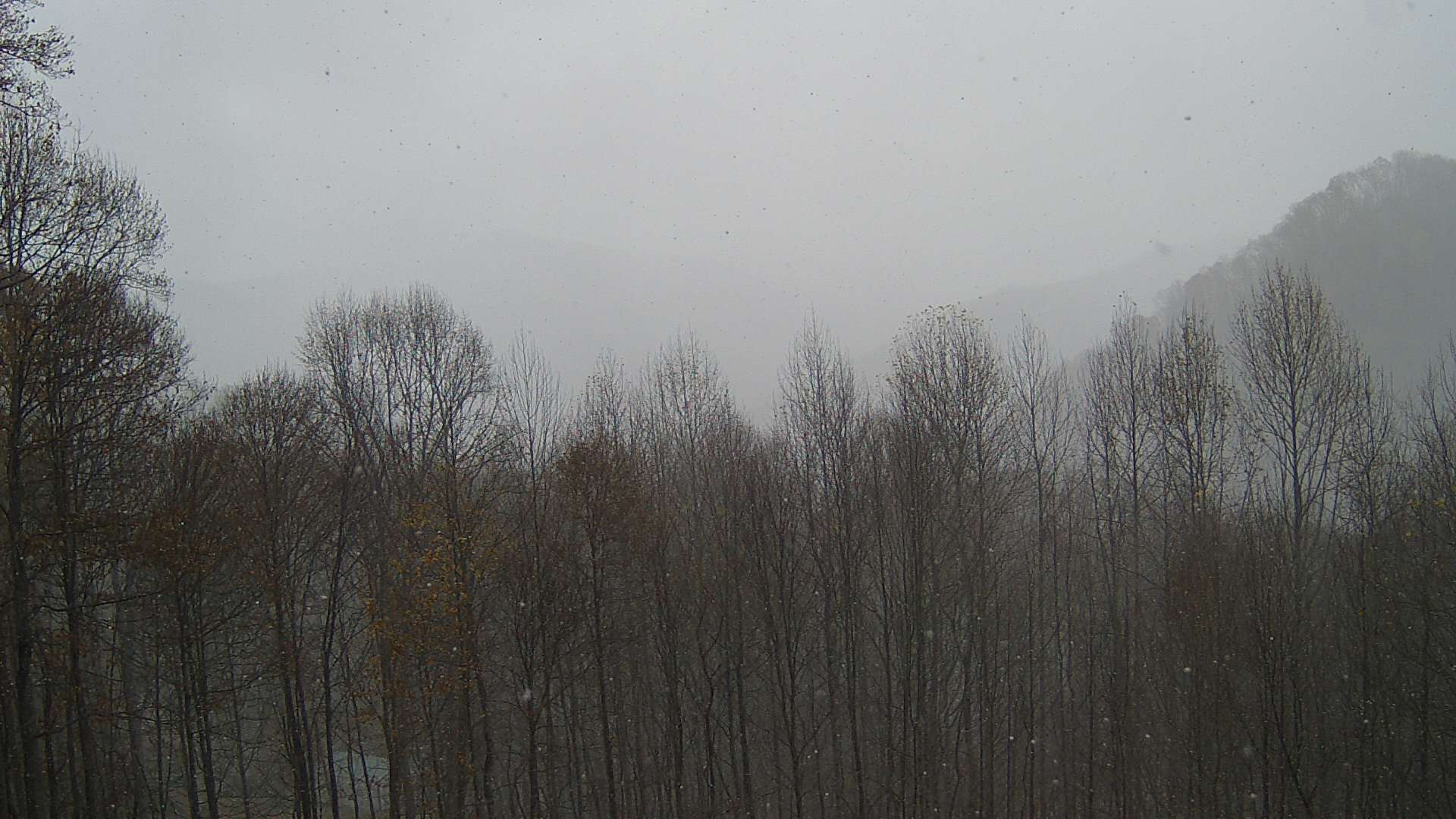 click for next image... slideshow image