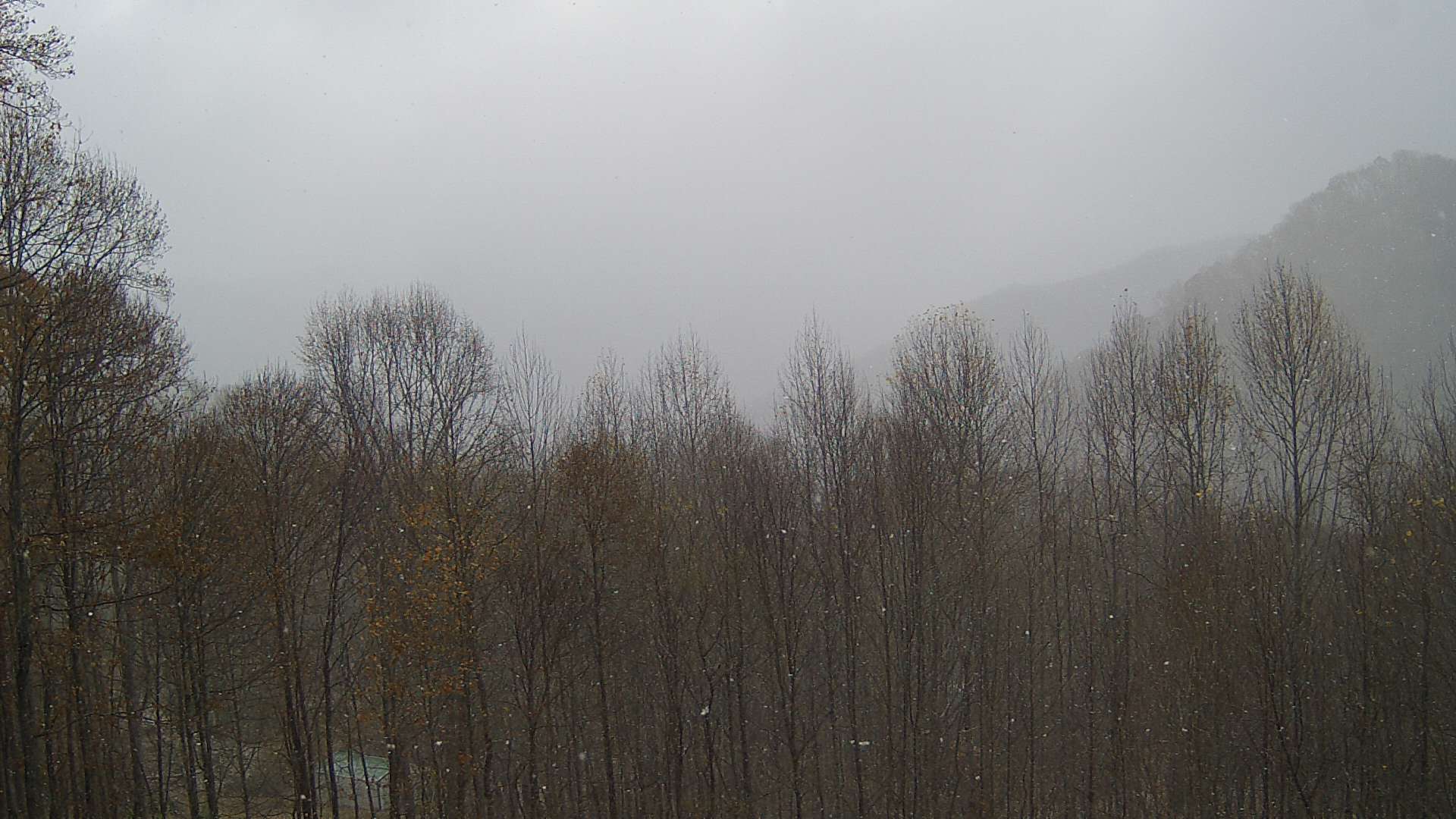 click for next image... slideshow image