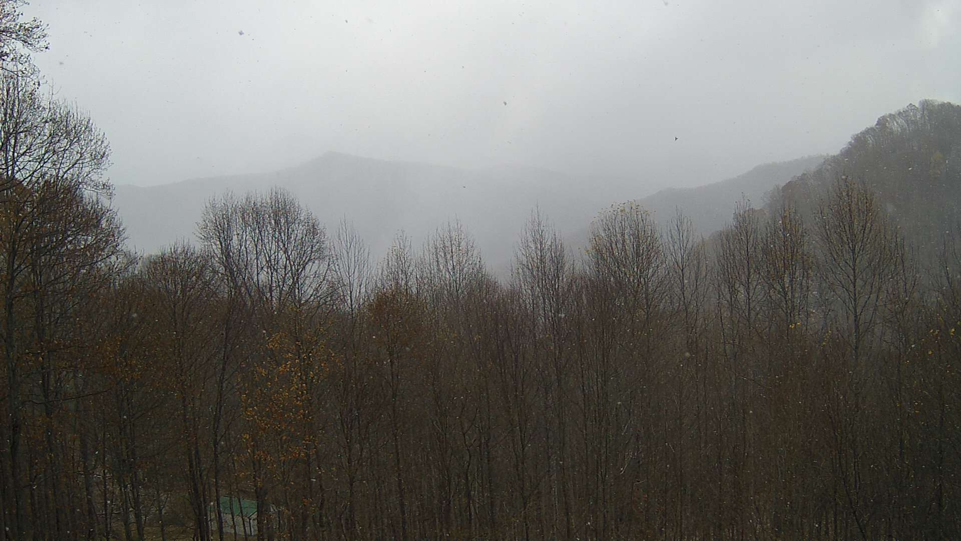 click for next image... slideshow image