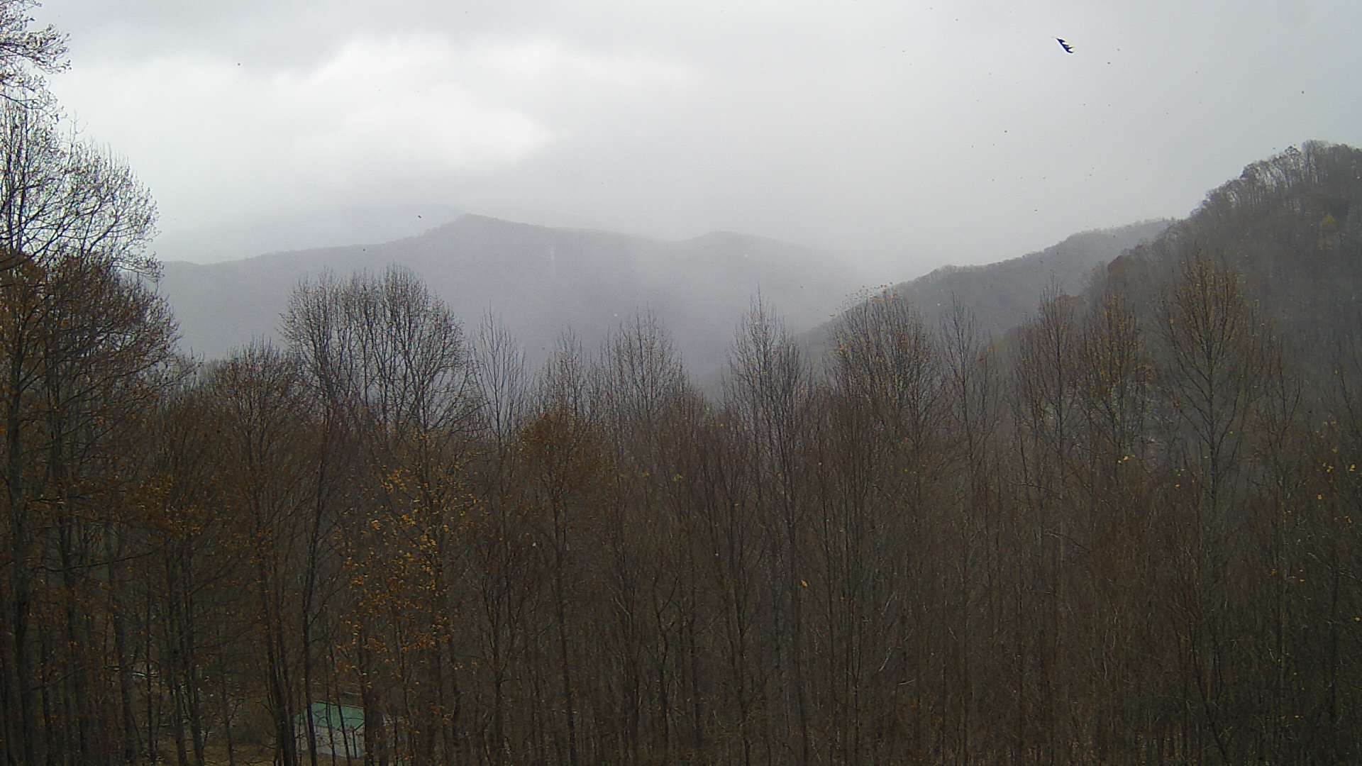 click for next image... slideshow image