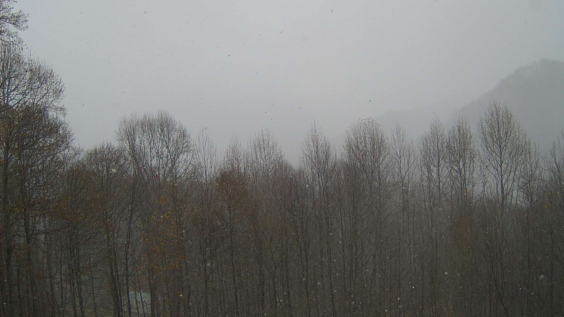 click for next image... slideshow image