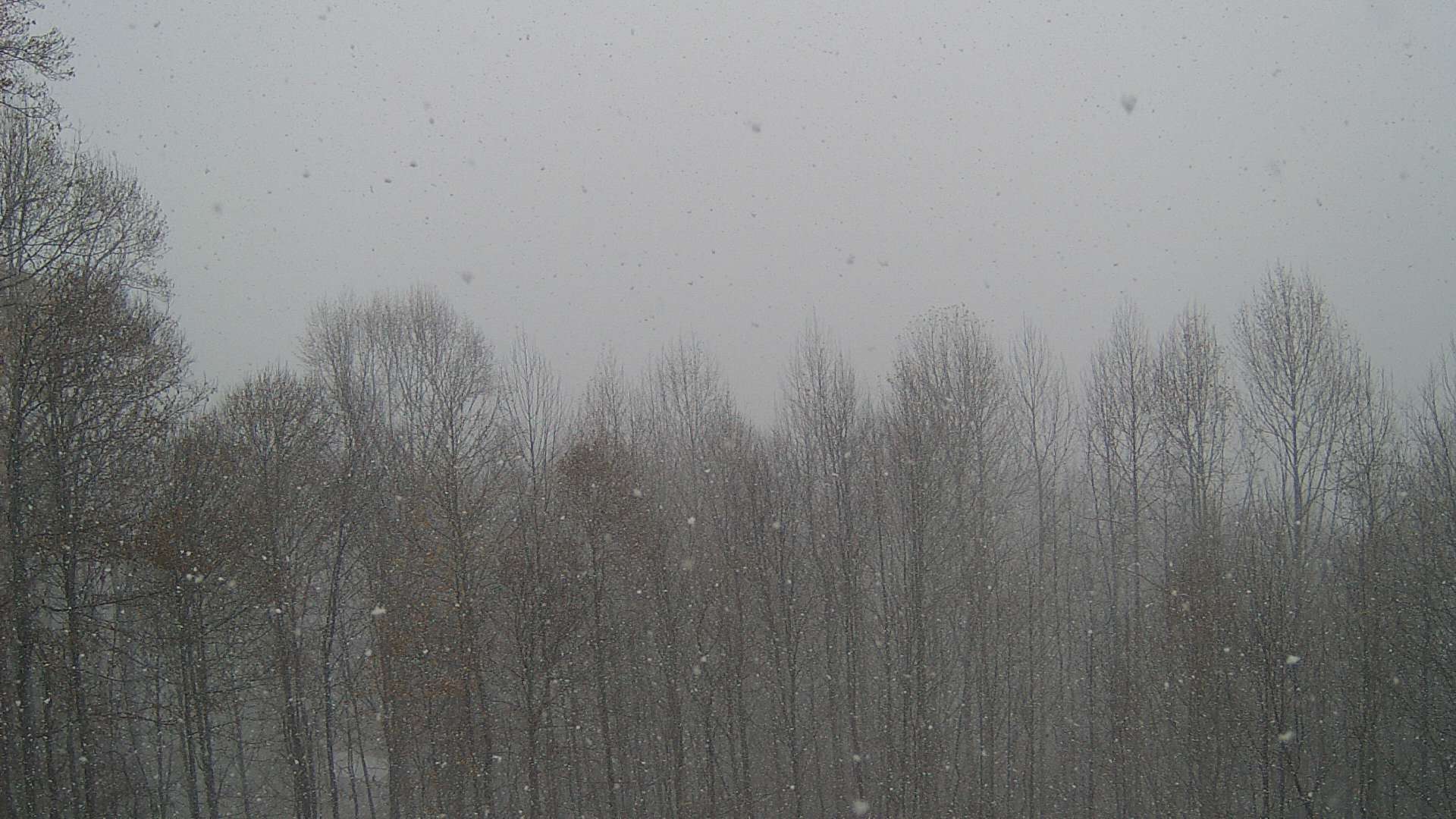 click for next image... slideshow image