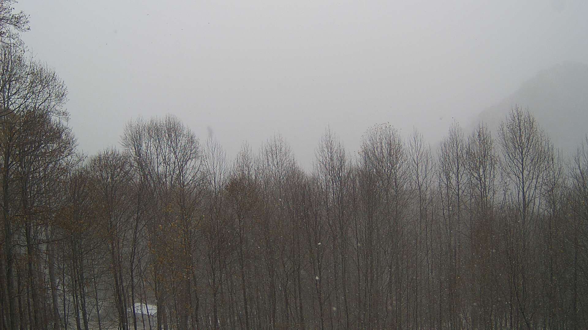 click for next image... slideshow image