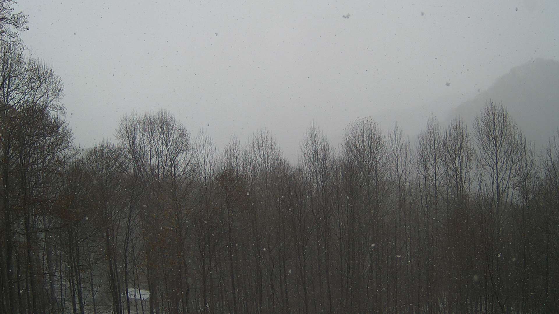 click for next image... slideshow image