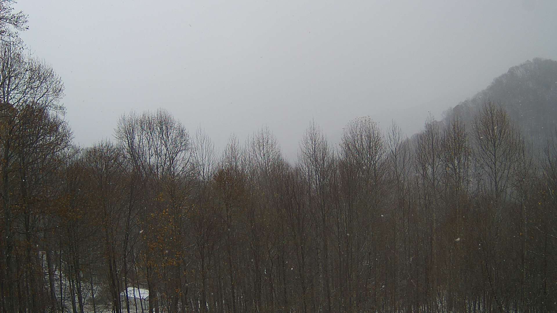 click for next image... slideshow image