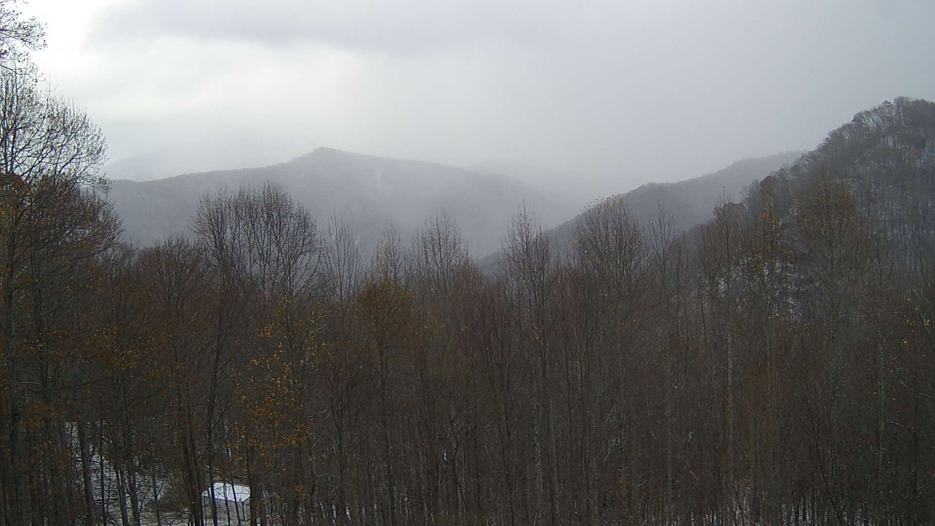 click for next image... slideshow image