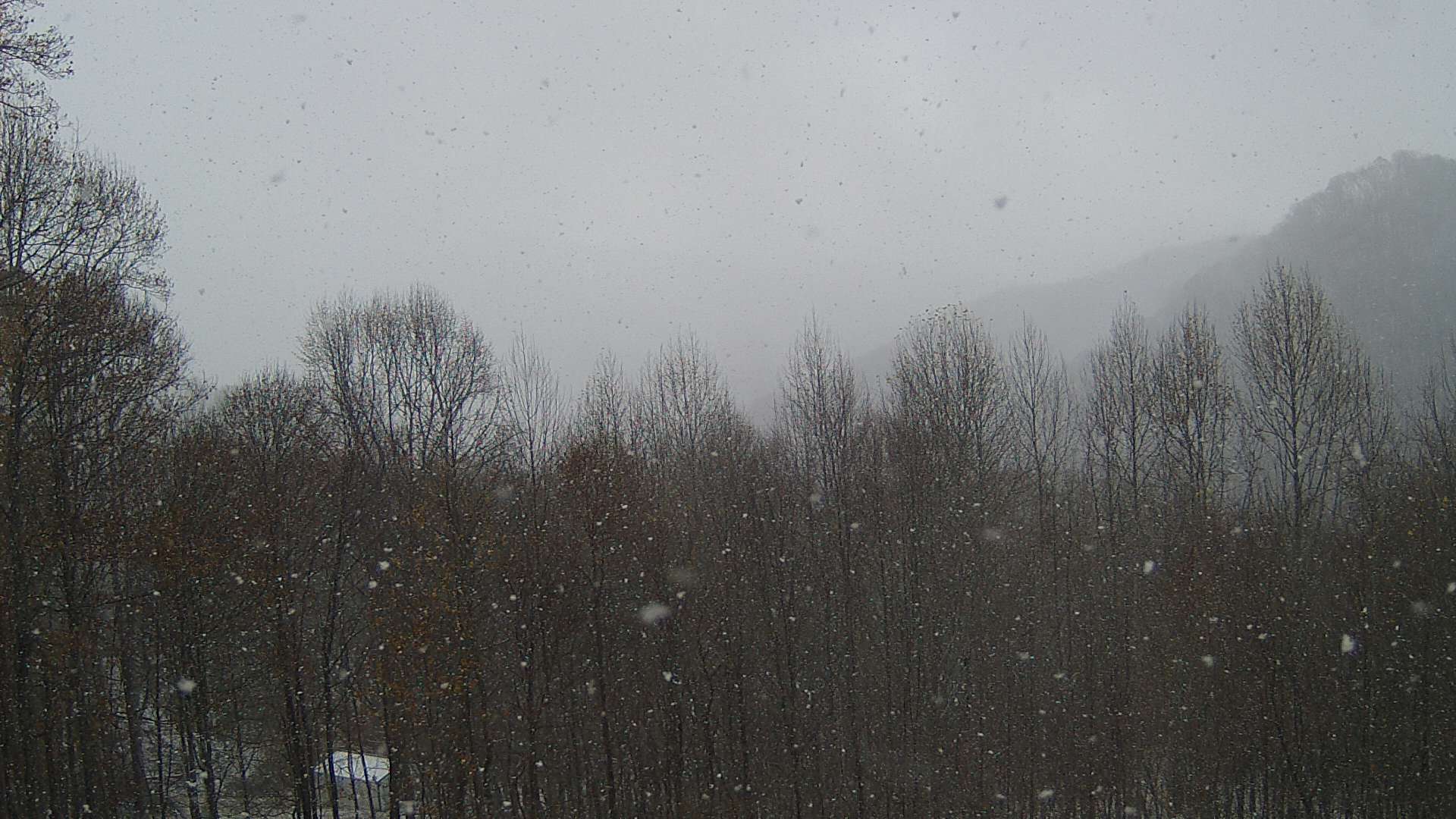 click for next image... slideshow image