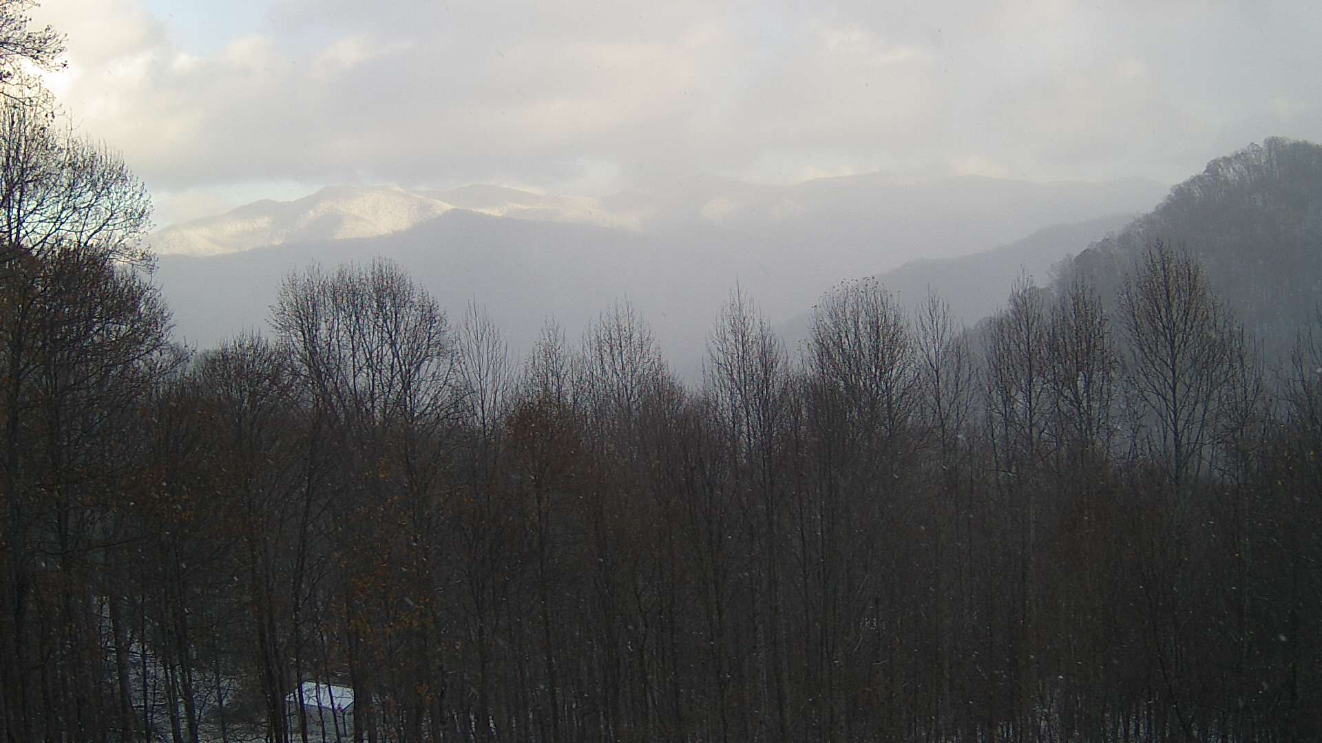 click for next image... slideshow image