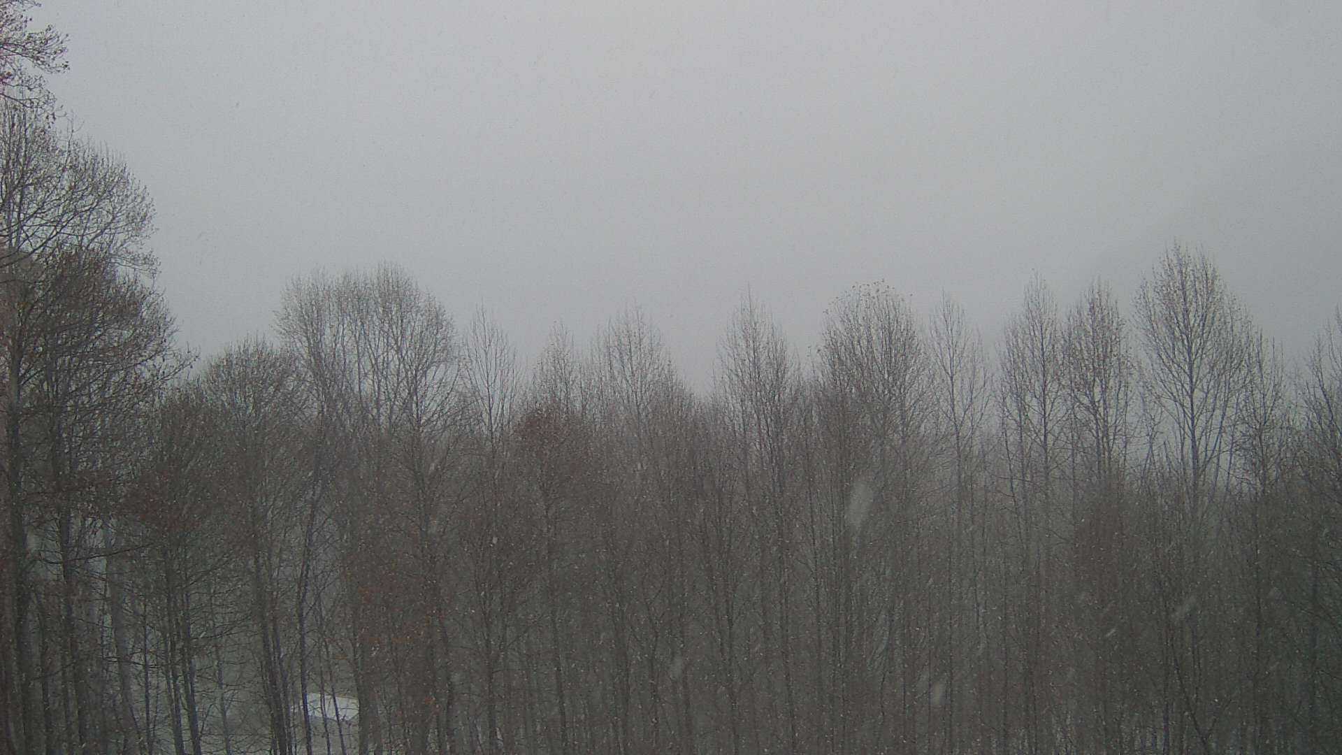 click for next image... slideshow image