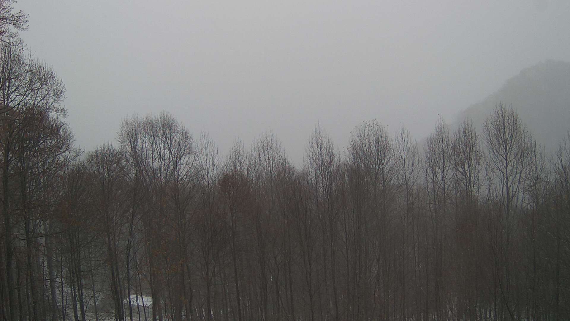 click for next image... slideshow image